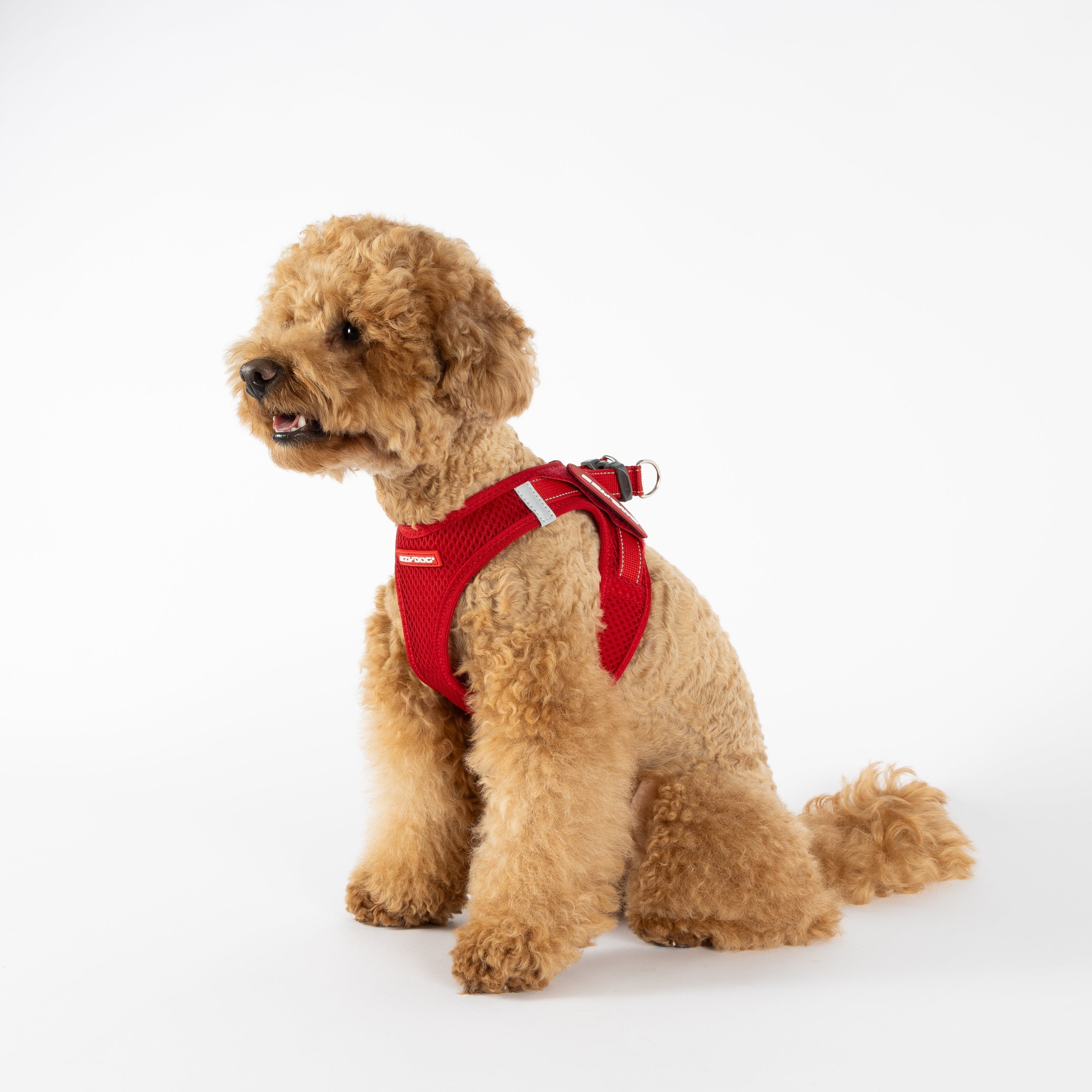 Types of Dog Harnesses