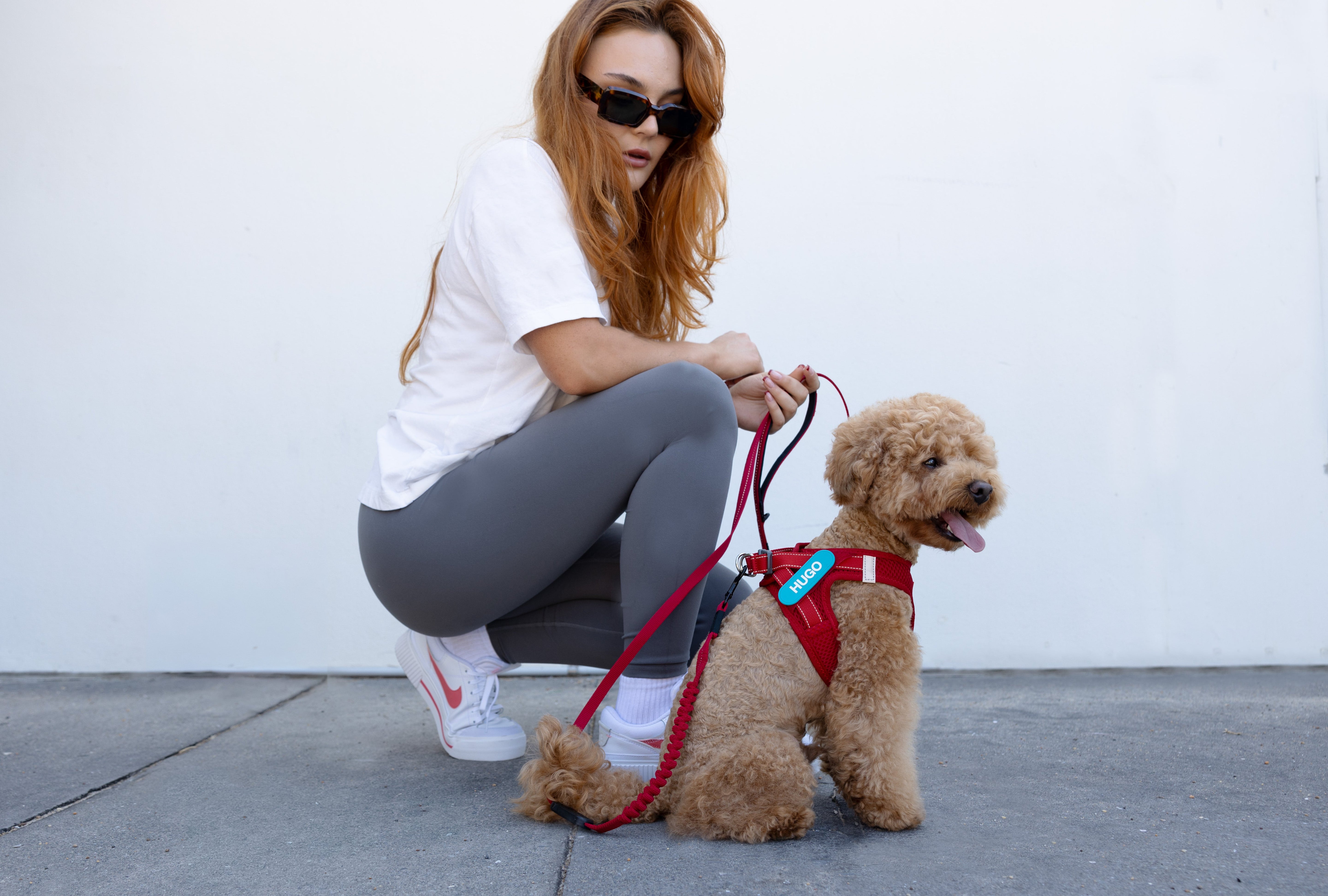 Woman crouching beside a small dog wearing a properly fitted red harness and leash, demonstrating correct dog harness placement.