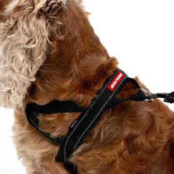 Dog Harness vs Dog Collar
