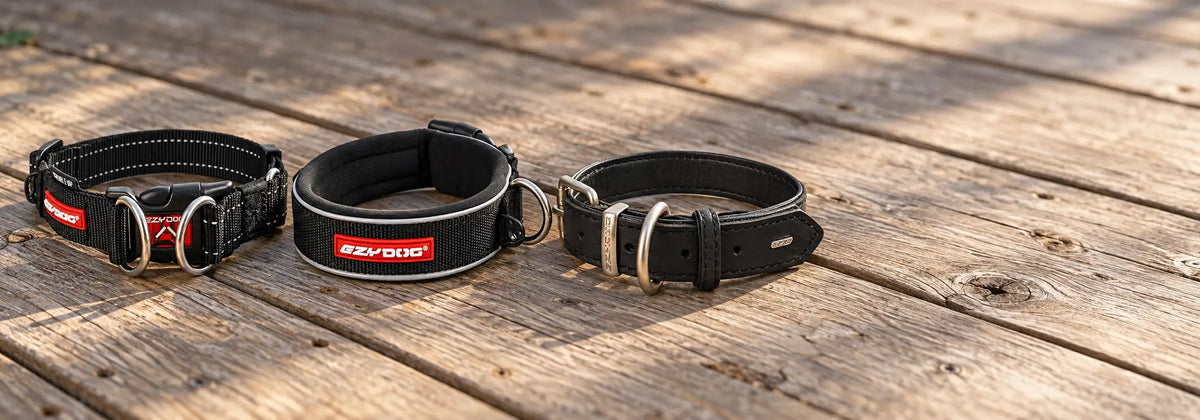 Leather, webbing and neoprene EzyDog dog collars side by side