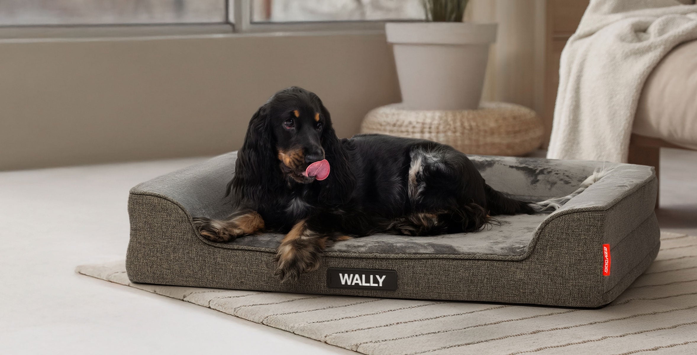 Black Friday Dog Bed