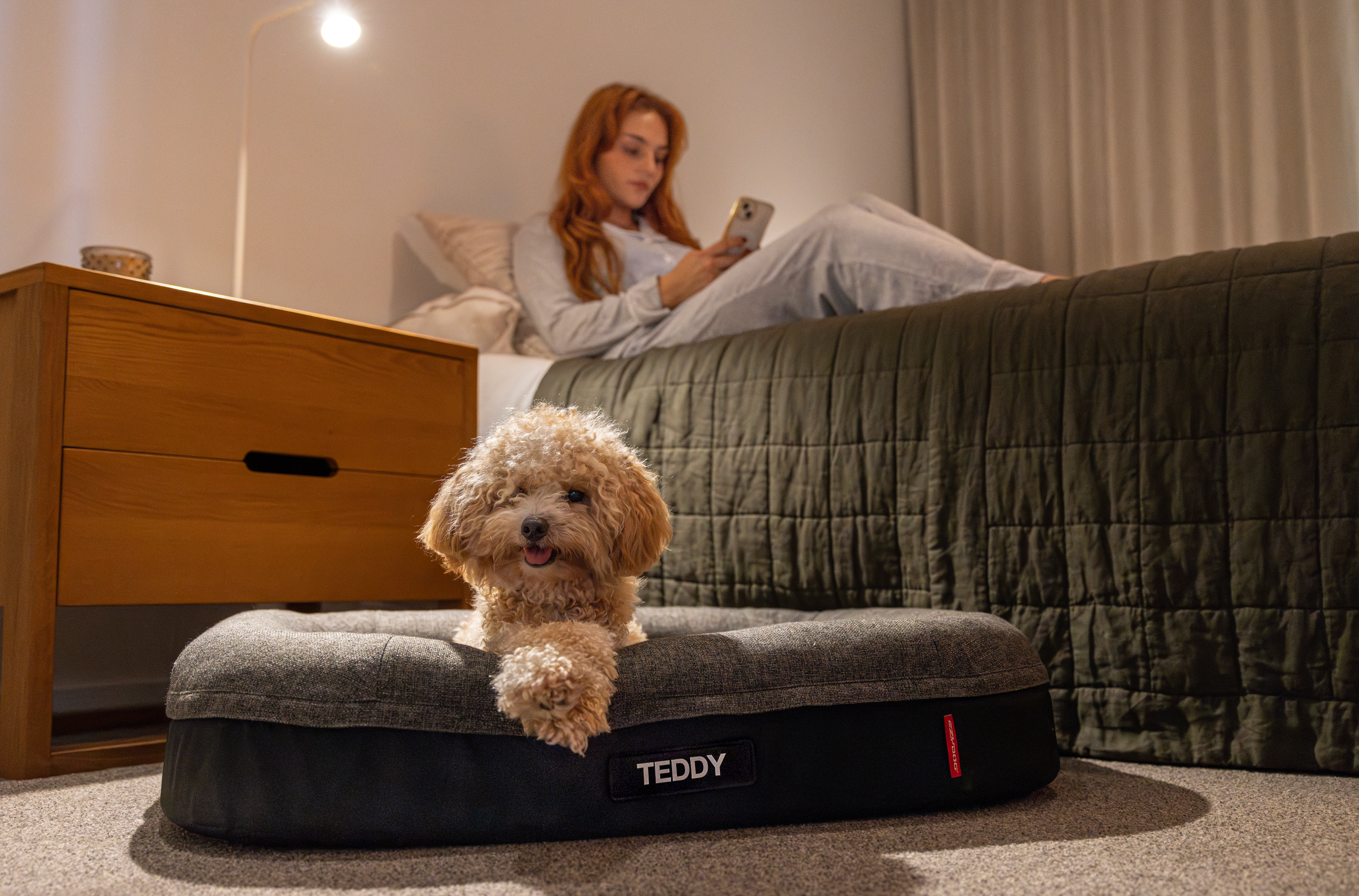 How to Wash a Dog Bed – Easy Steps for a Cleaner Home!