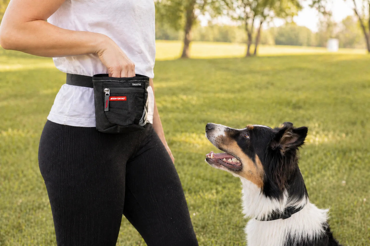 Treat Bag for Dog Training