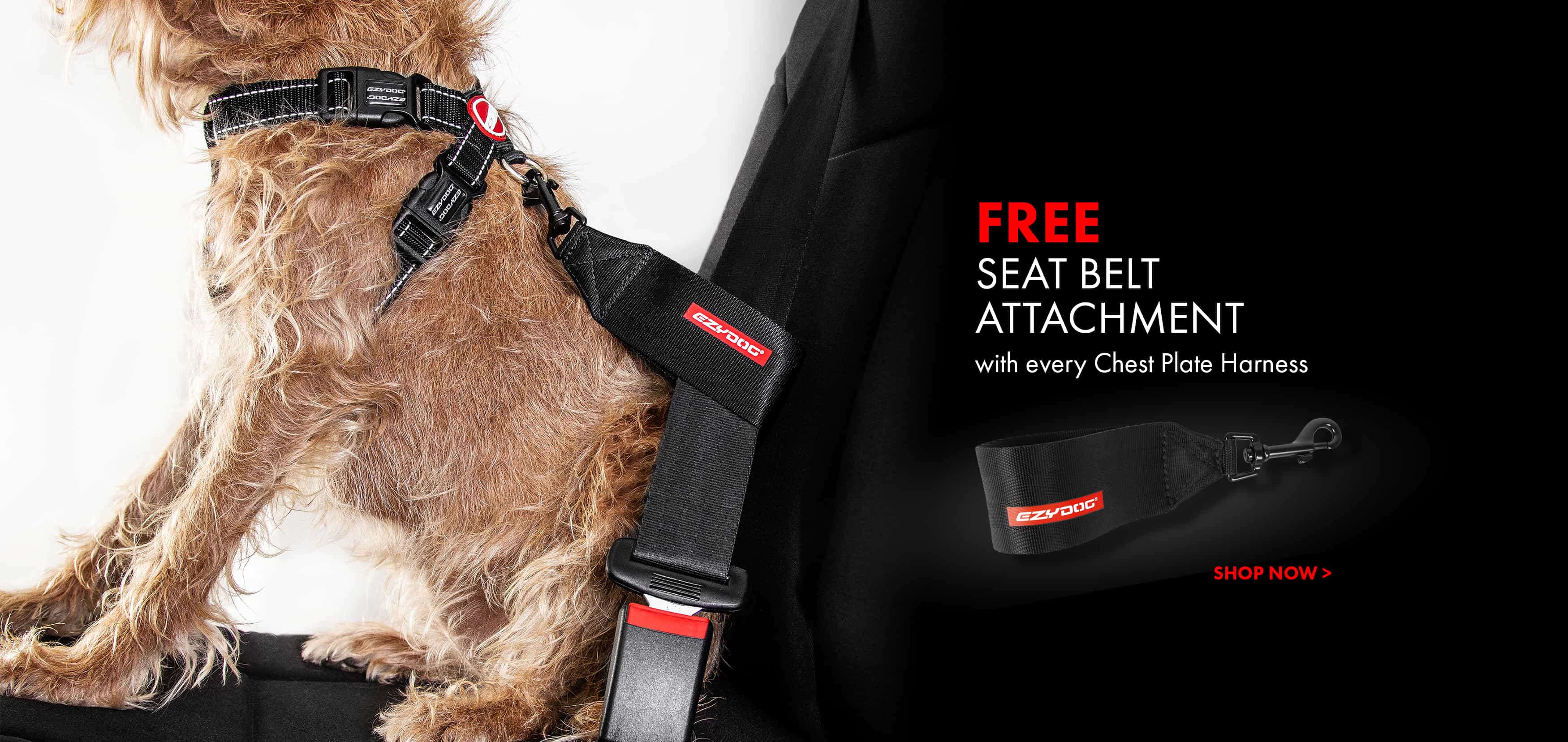 seat belt