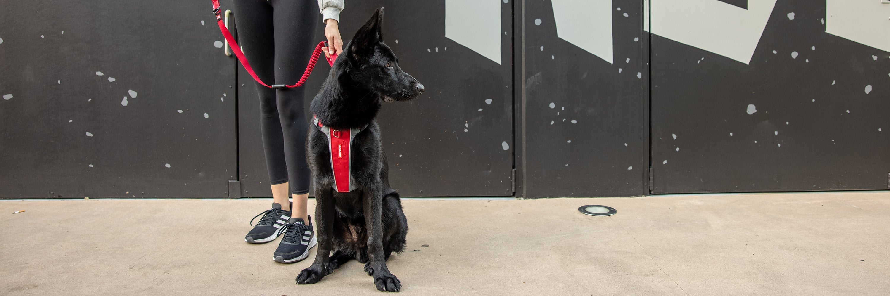 Dog Harness for German Shepherd