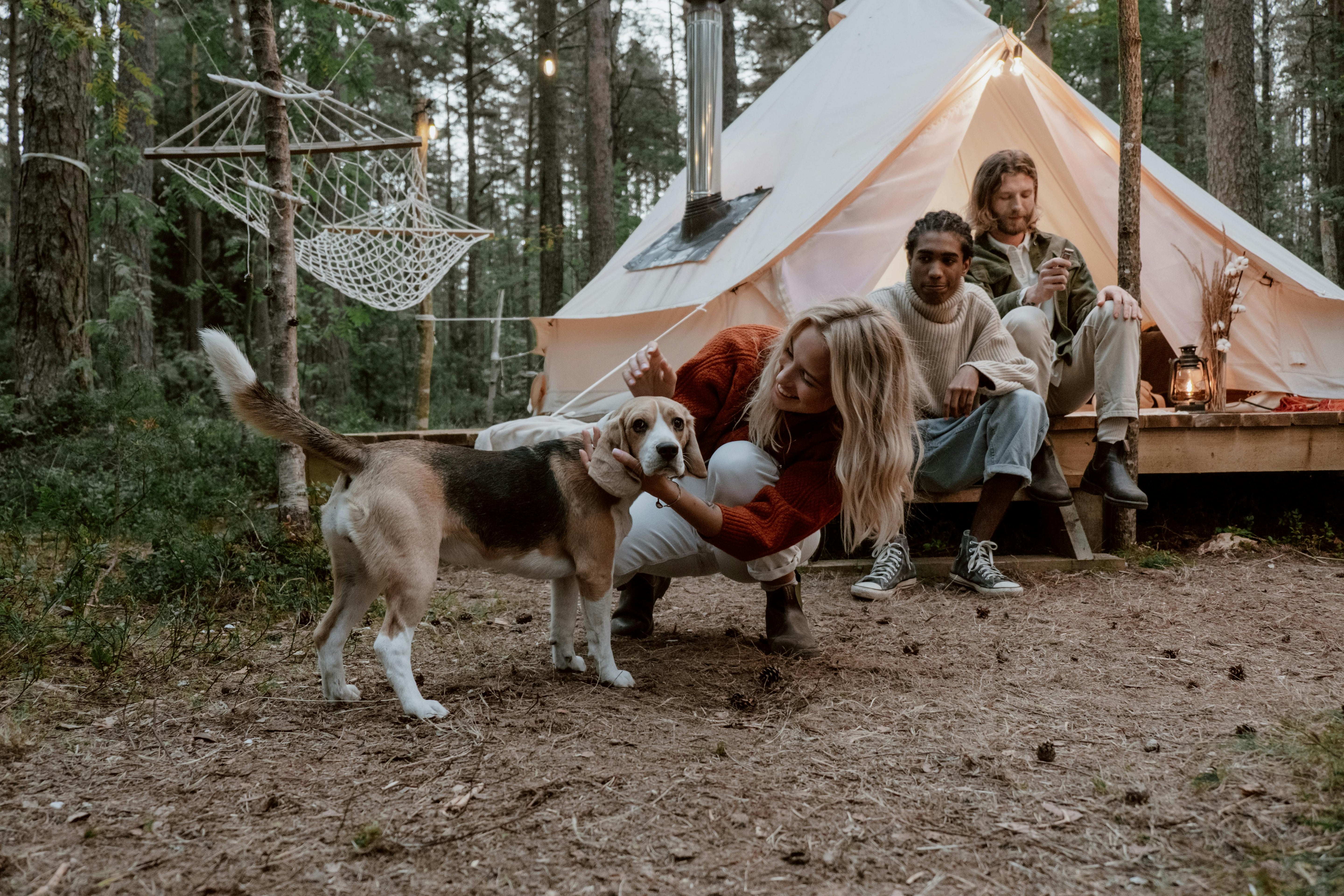 Dog Camping Gears
