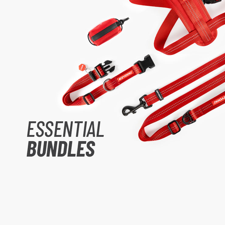 dog essential bundle pack
