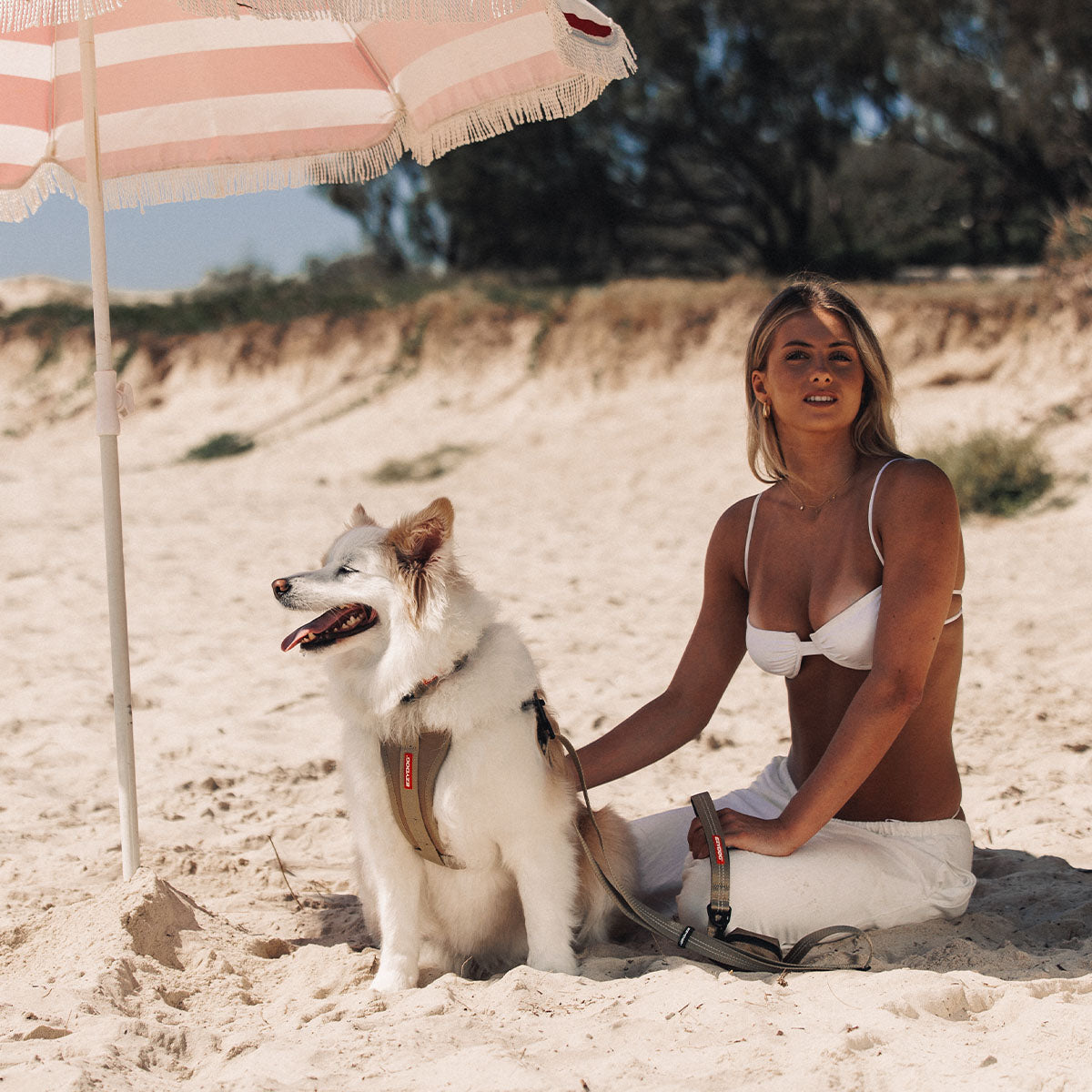 Sand Dune Collection