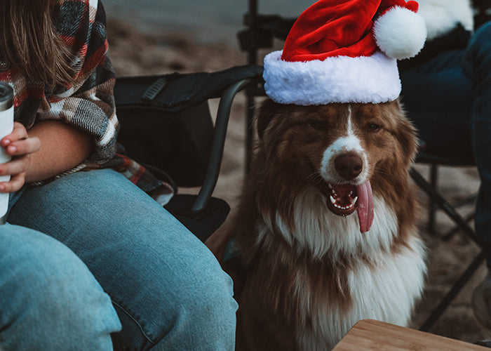 Holiday Gift Guide!