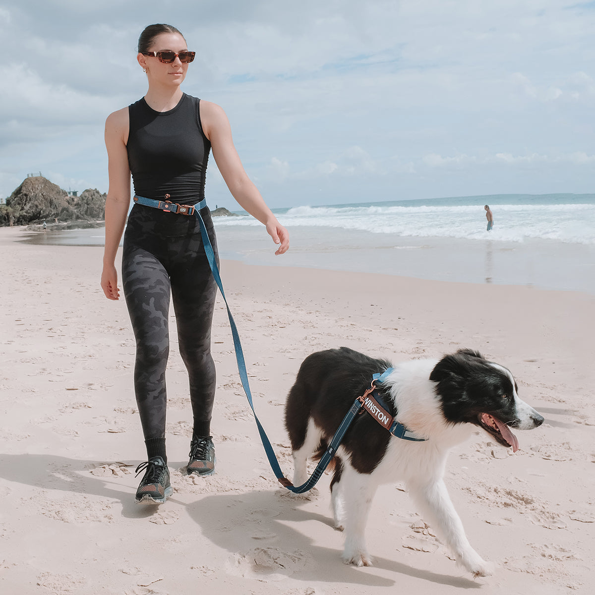 hands free dog leash