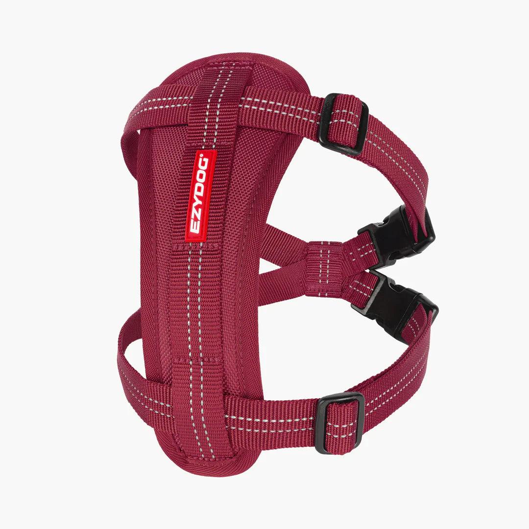 Sunday Burgundy Harness