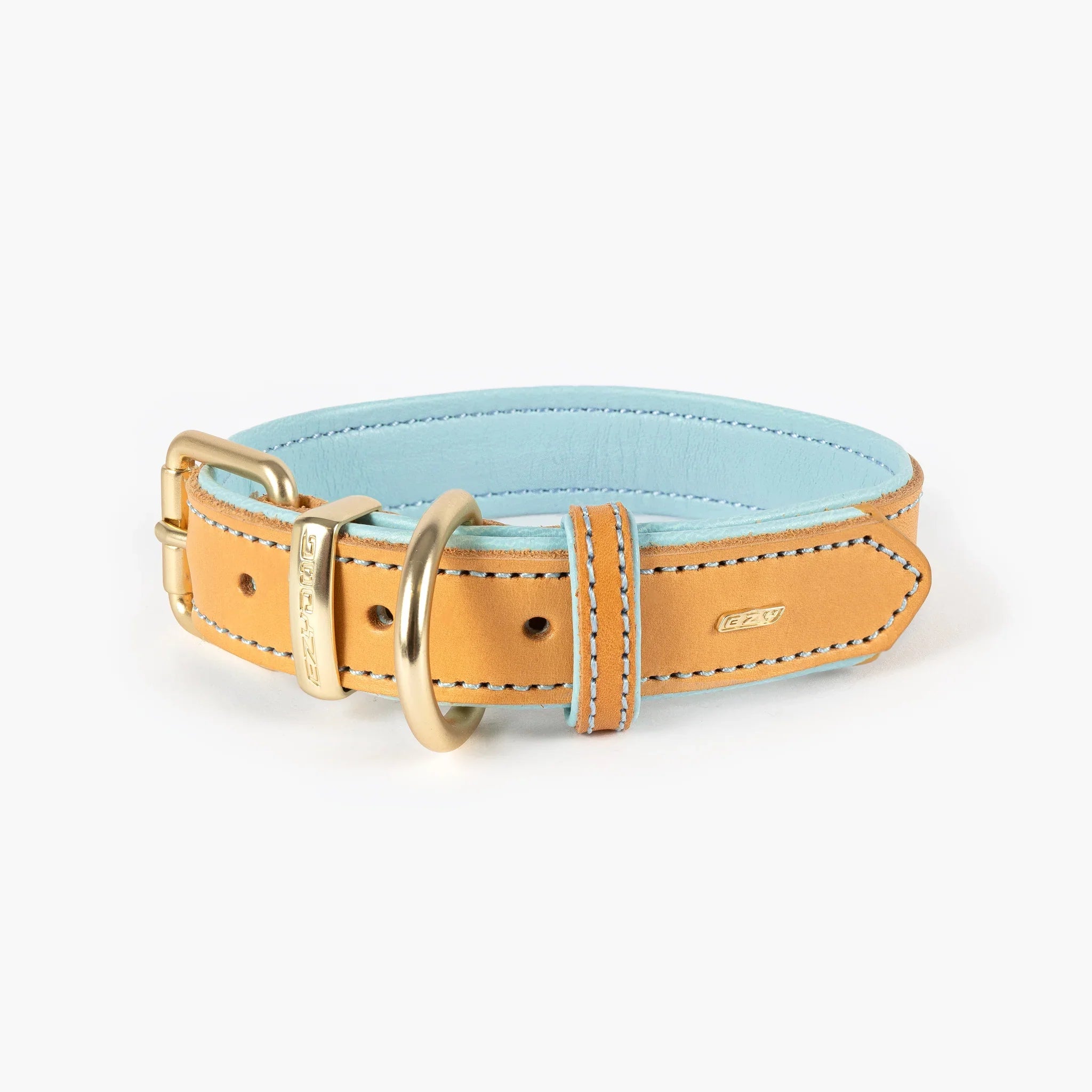 designer dog collar