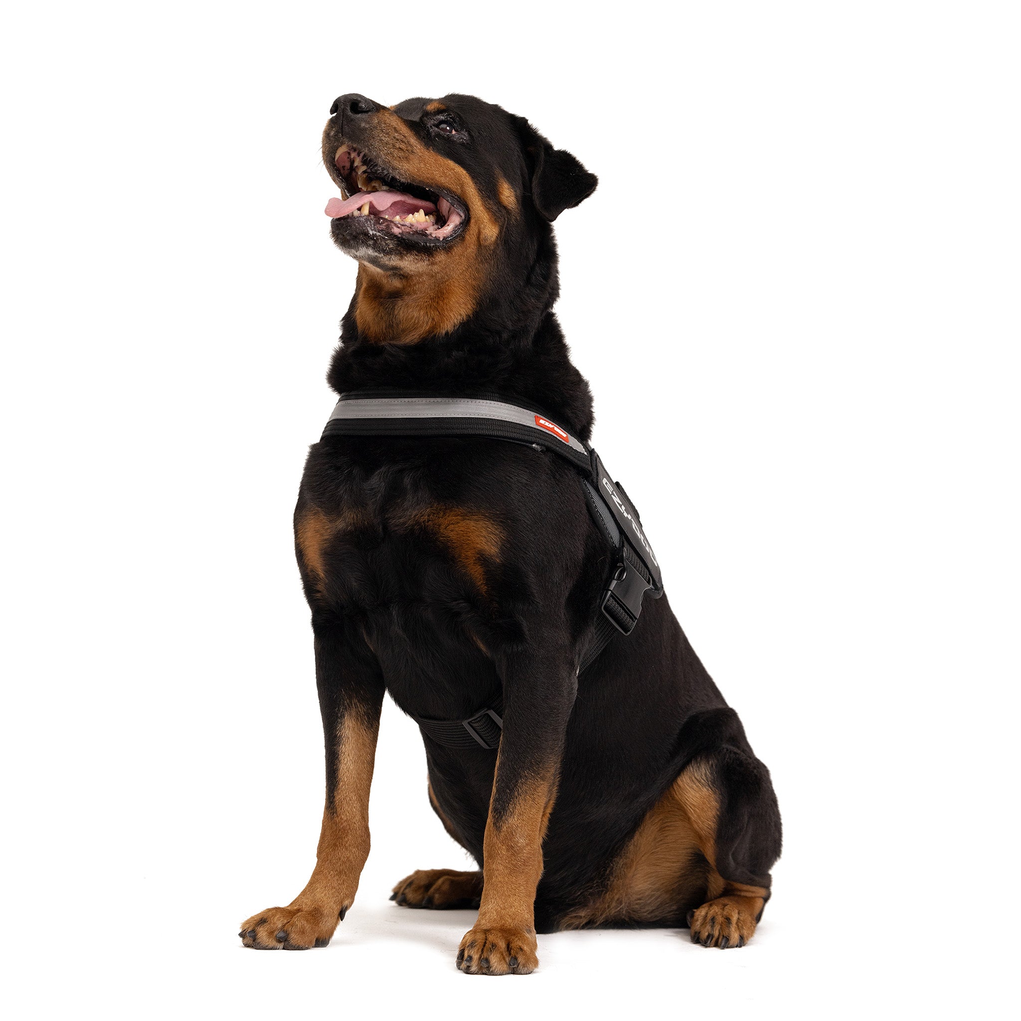 Convert Harness Front