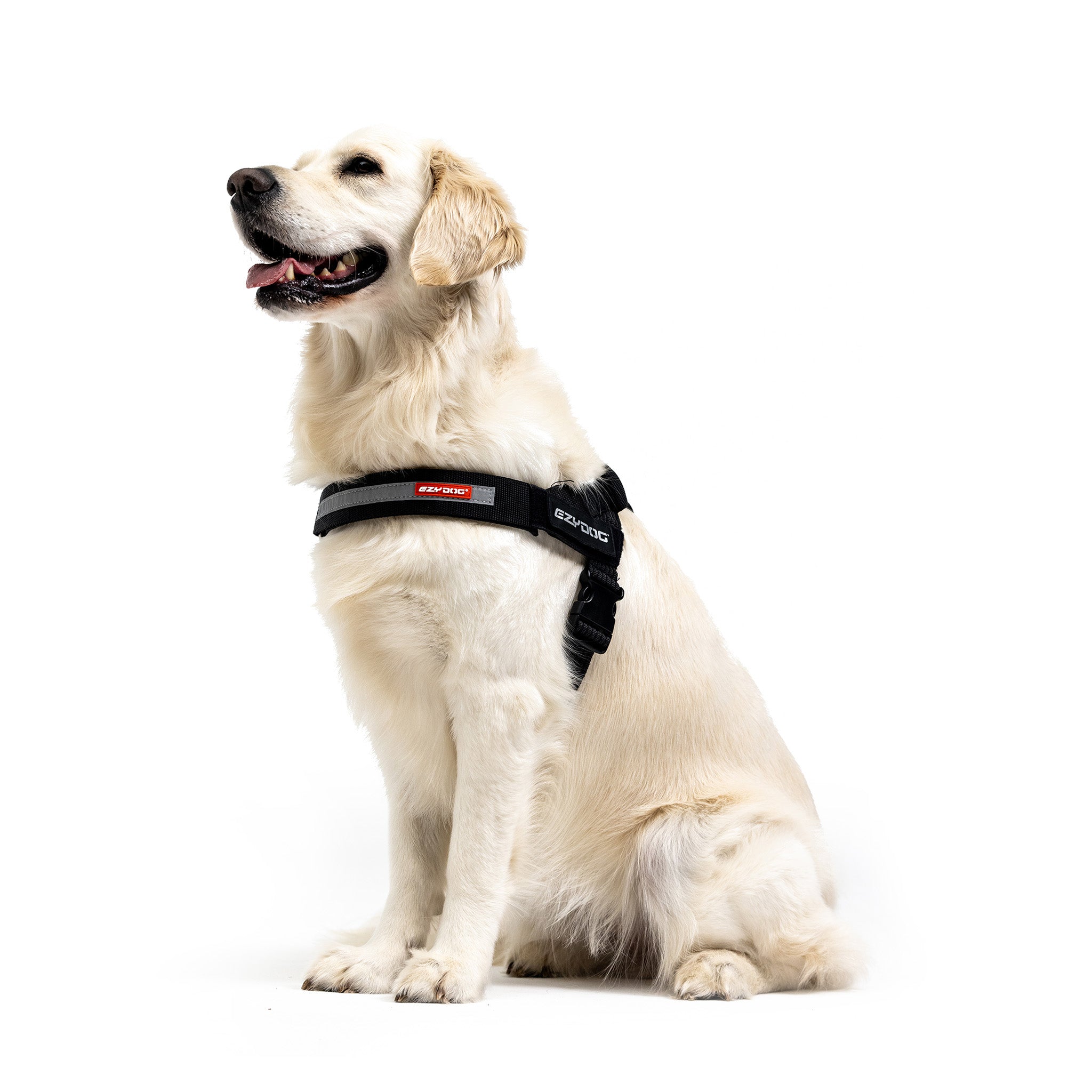 Express Dog Harness - Corduroy