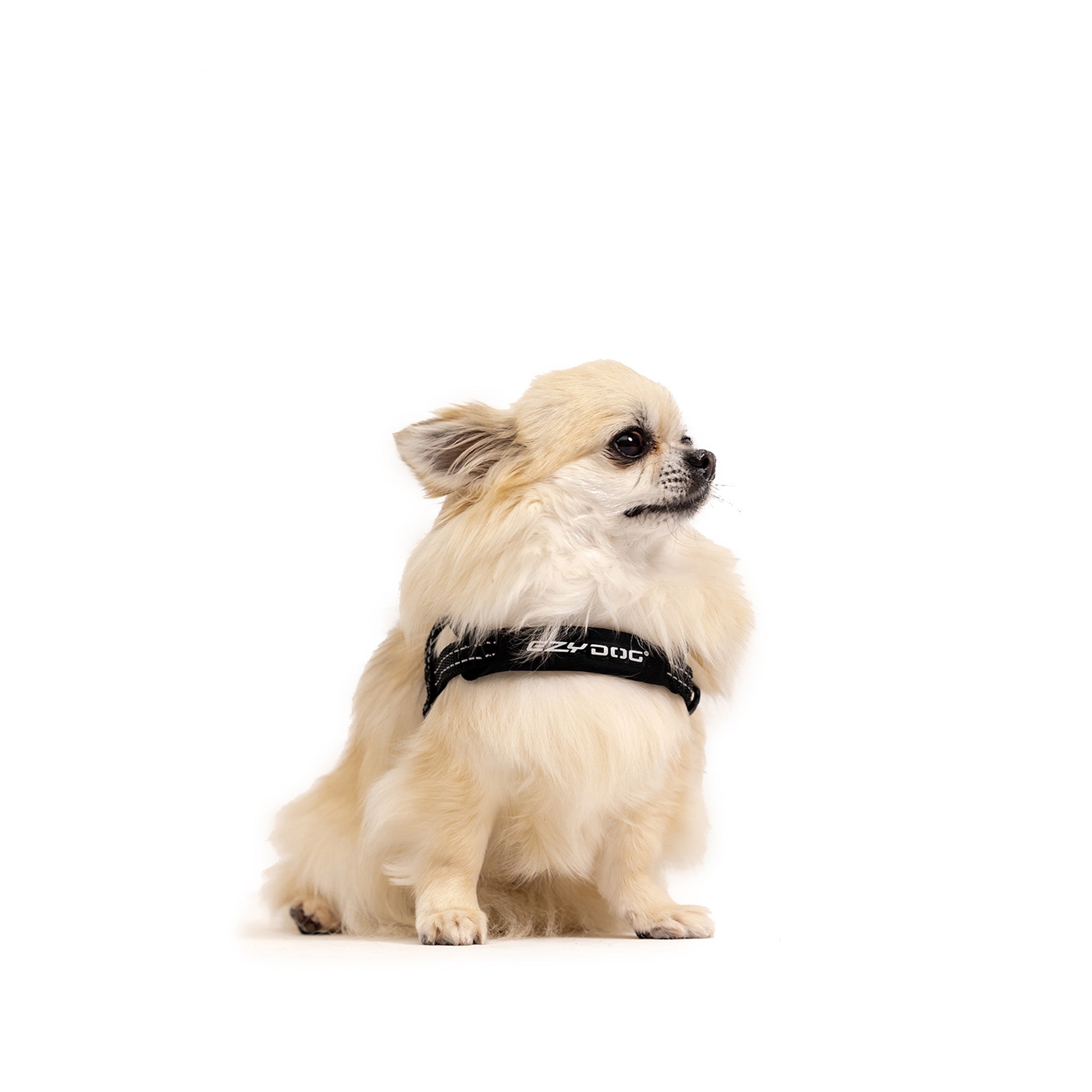 Quick fit Harness Front