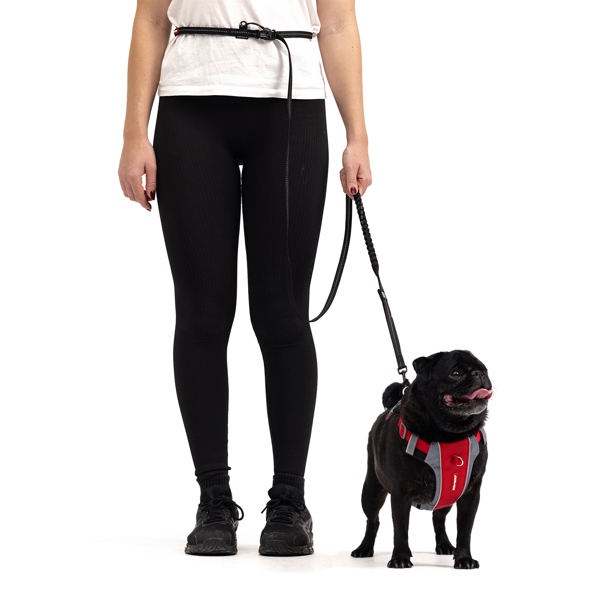 woman and a small dog with EzyDog Road Runner Leash LITE