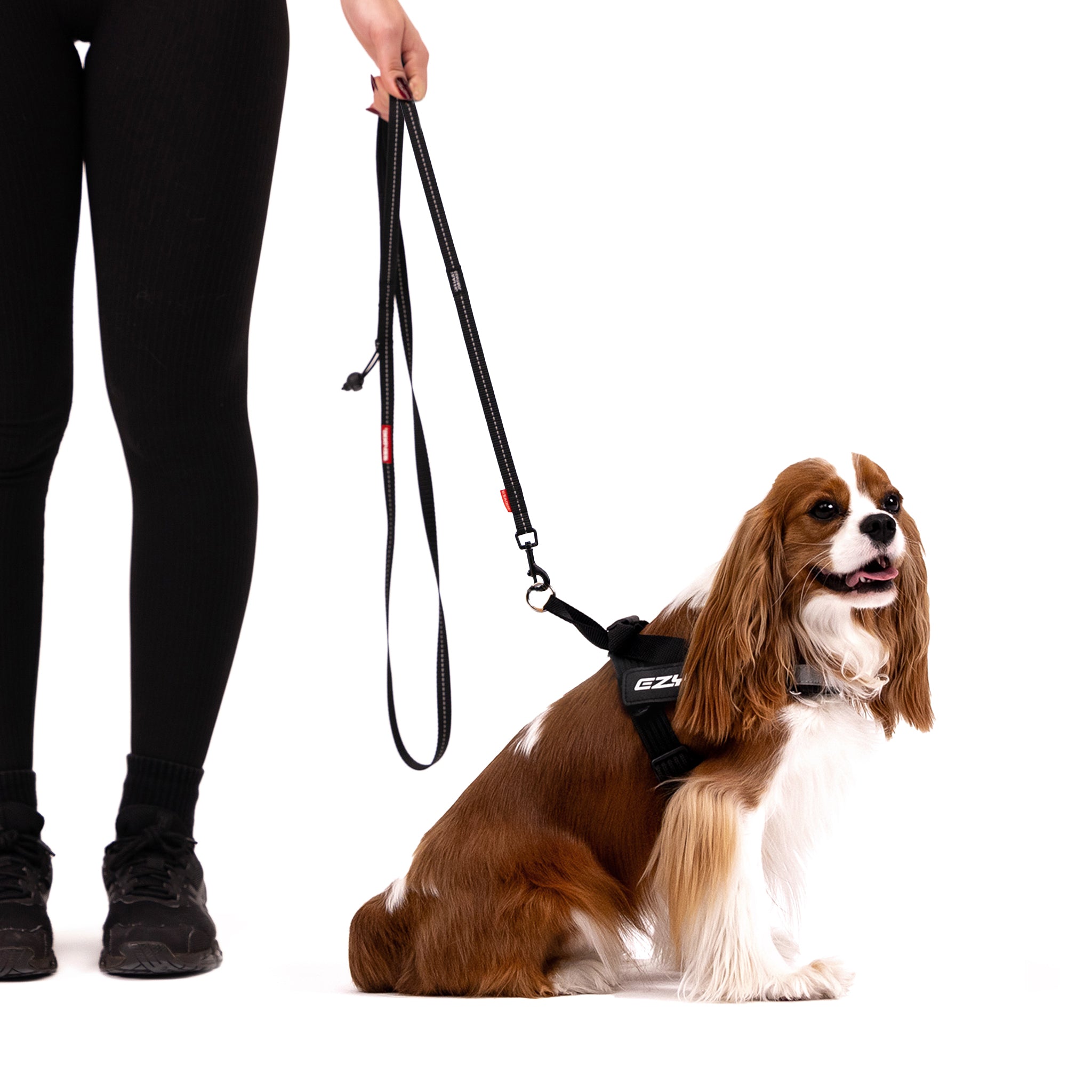 Soft Trainer Leash LITE