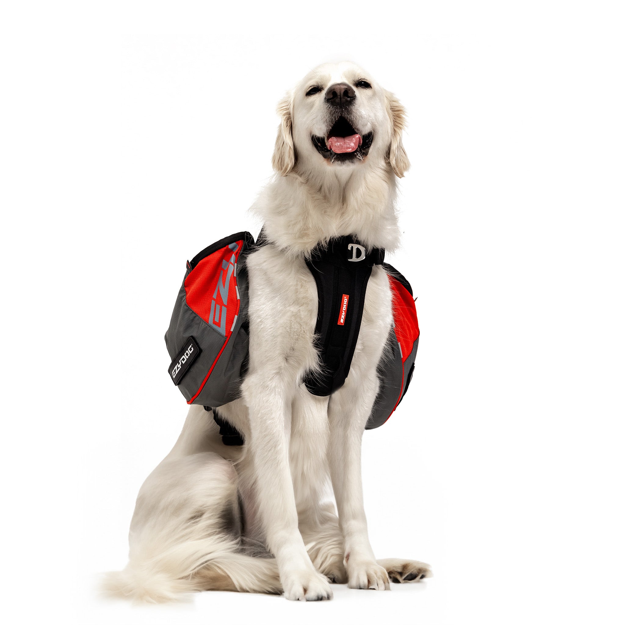 Front view of a large dog with EzyDog Summit Backpack