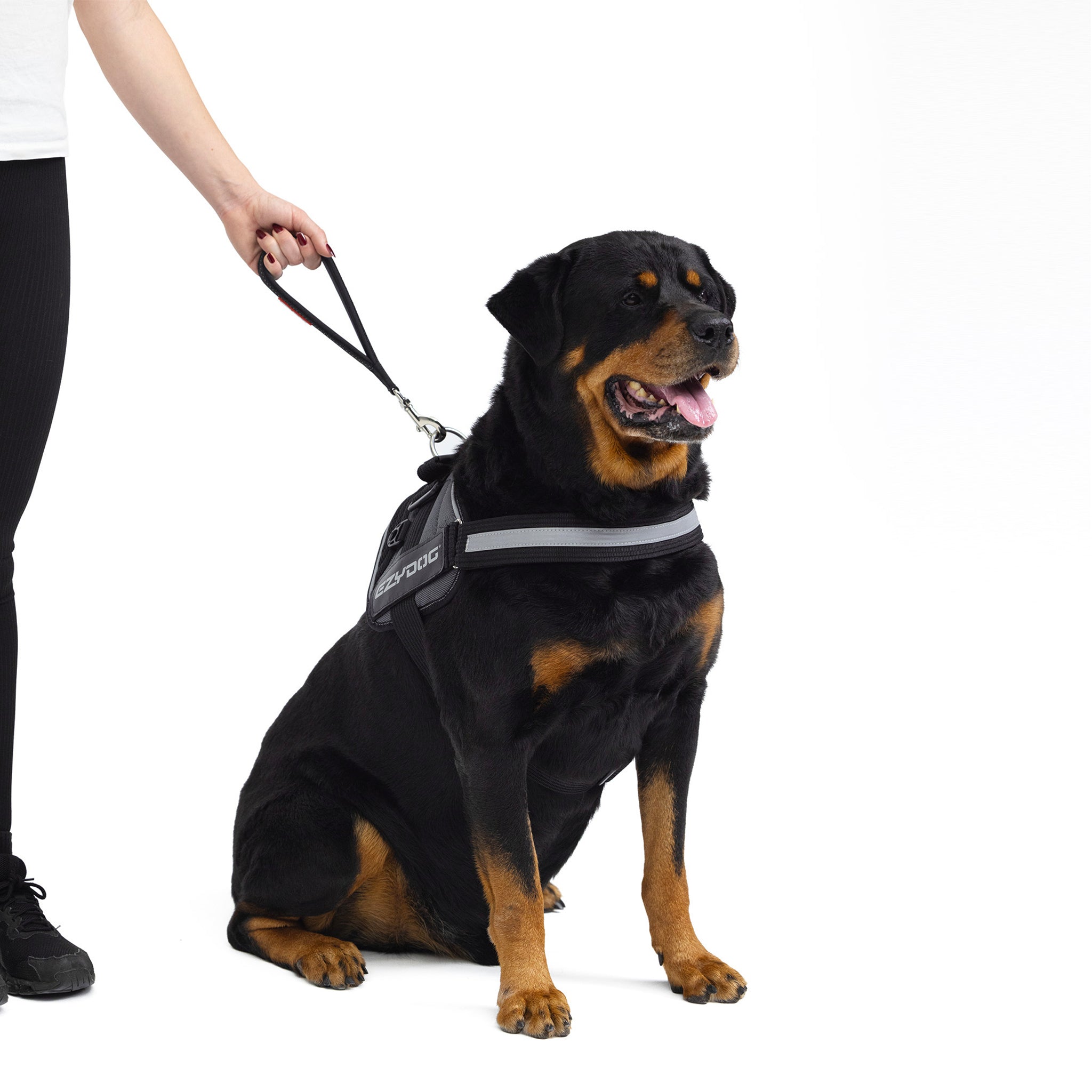woman holding a large dog with EzyDog Neo Mongrel Leash
