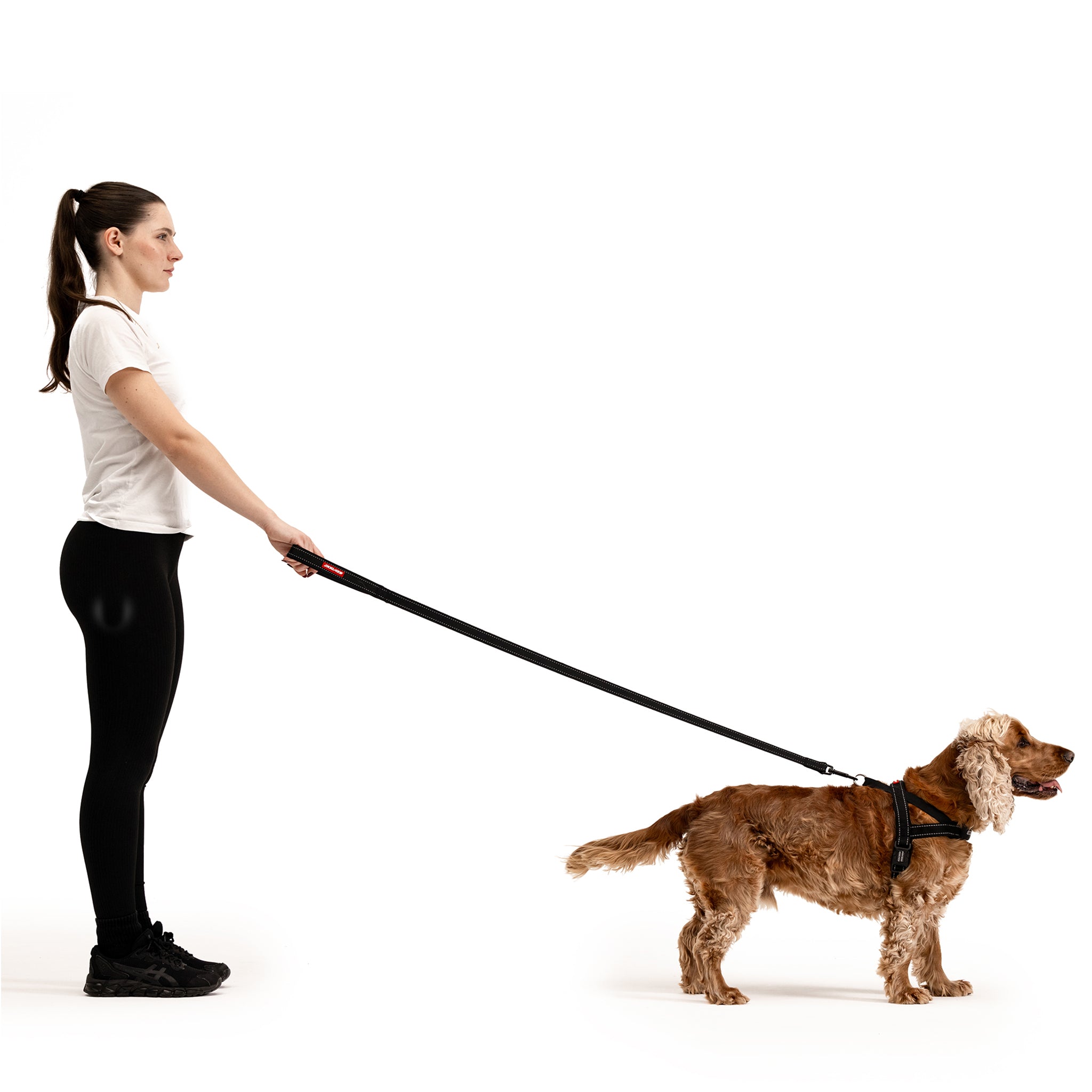 Essential Leash