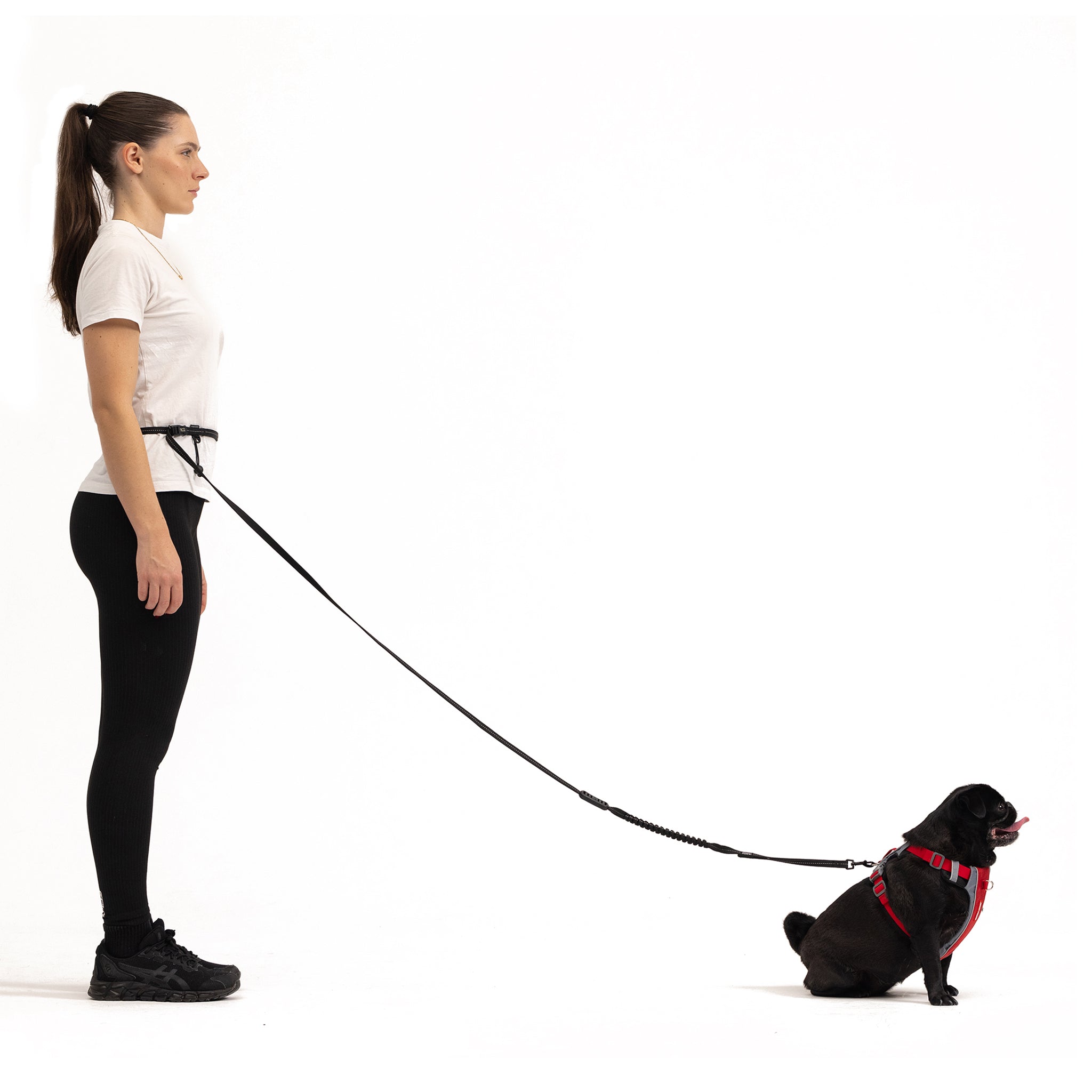 Road Runner Leash LITE