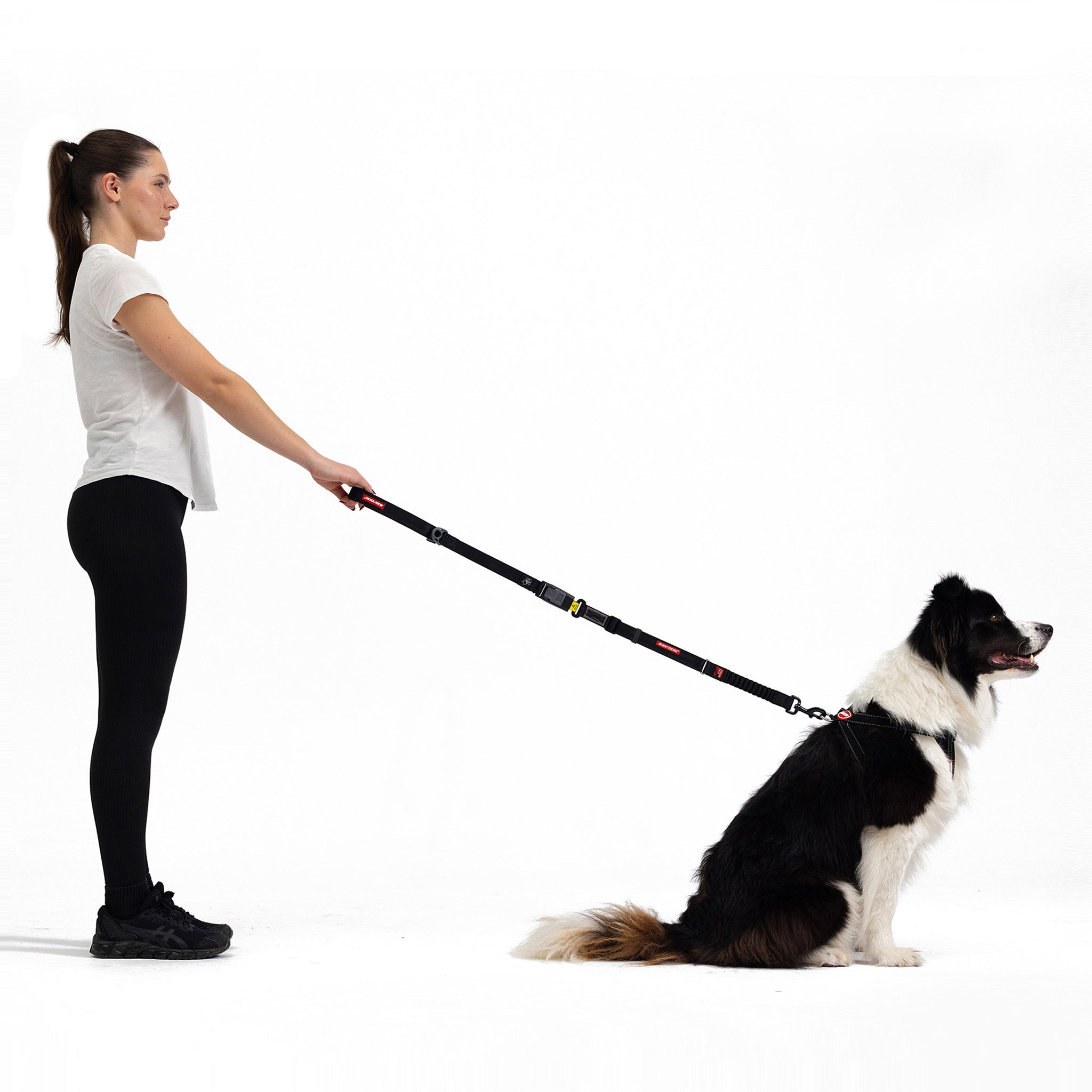 Woman with dog and a click leash