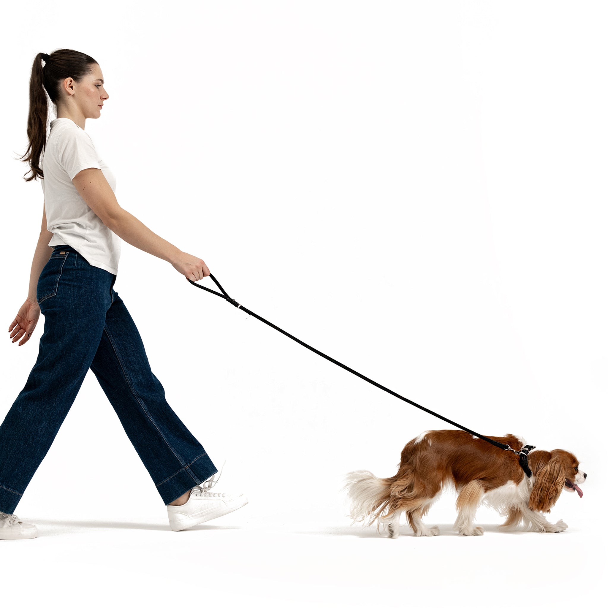 Woman walking a dog with Oxford Dog Leather Leash LITE