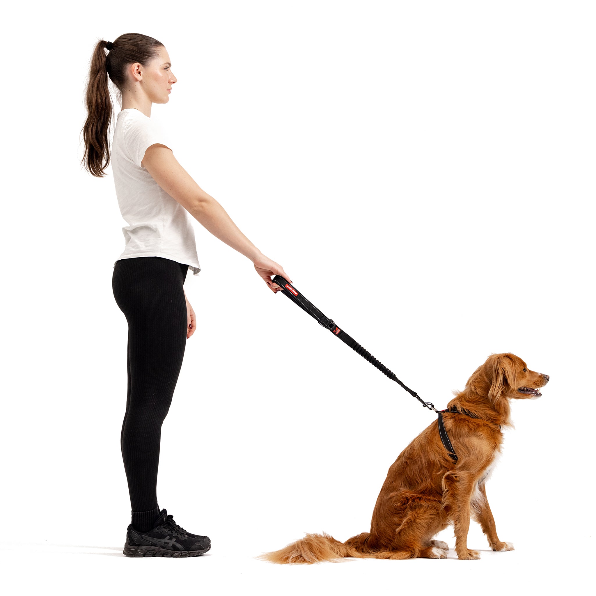 Zero Shock Leash