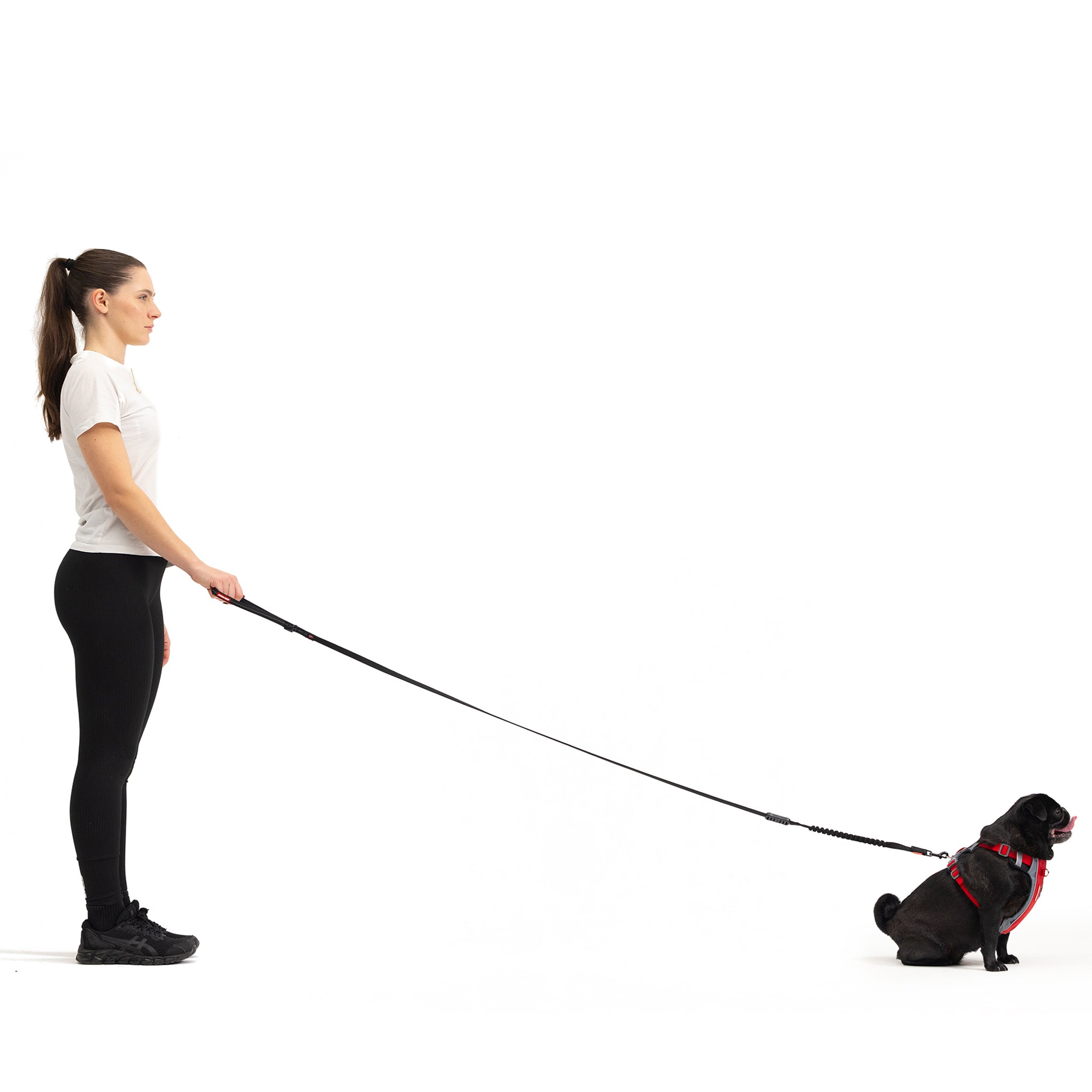 woman holding a small dog with Zero Shock Leash LITE