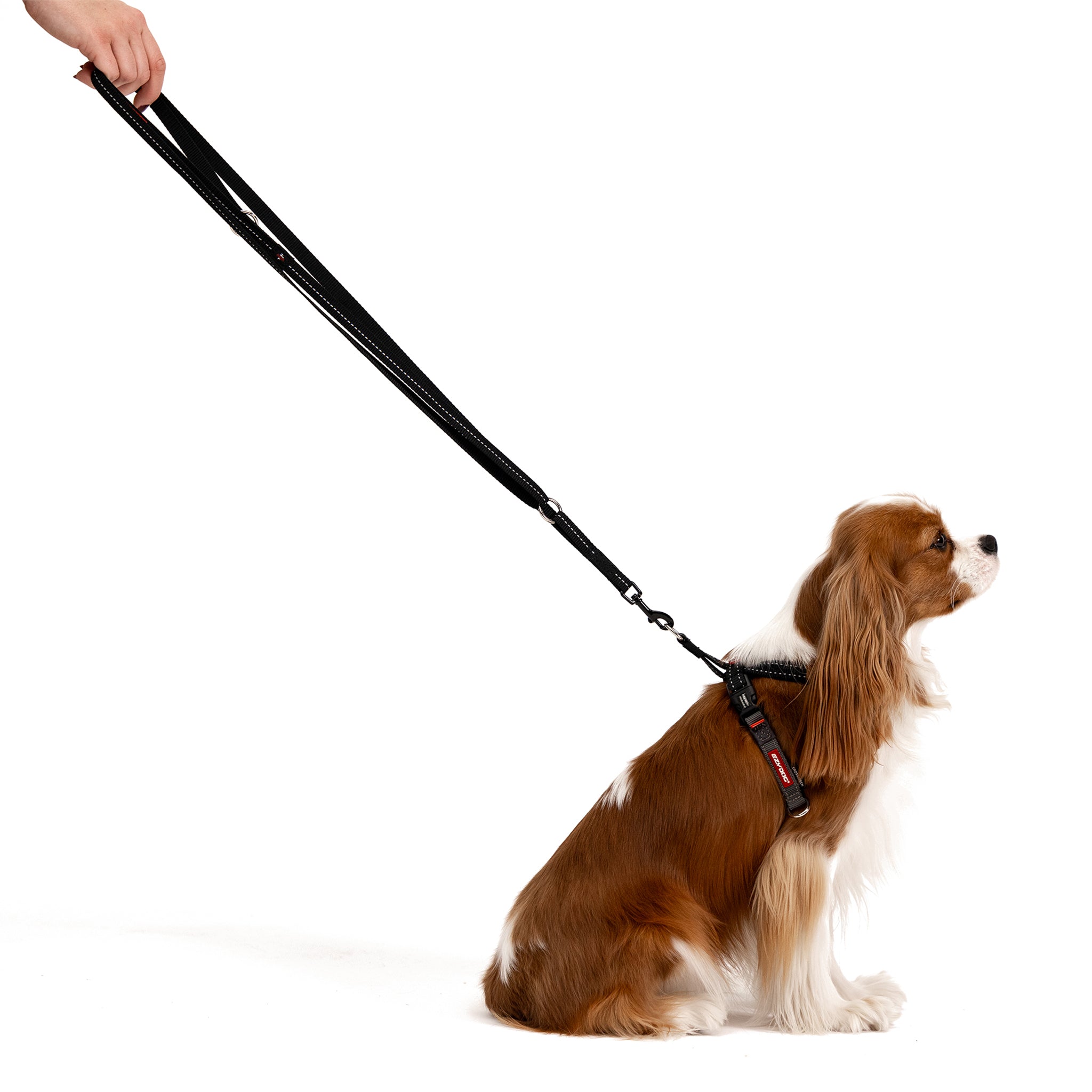 Vario 4 Multi-Function Leash LITE - Corduroy