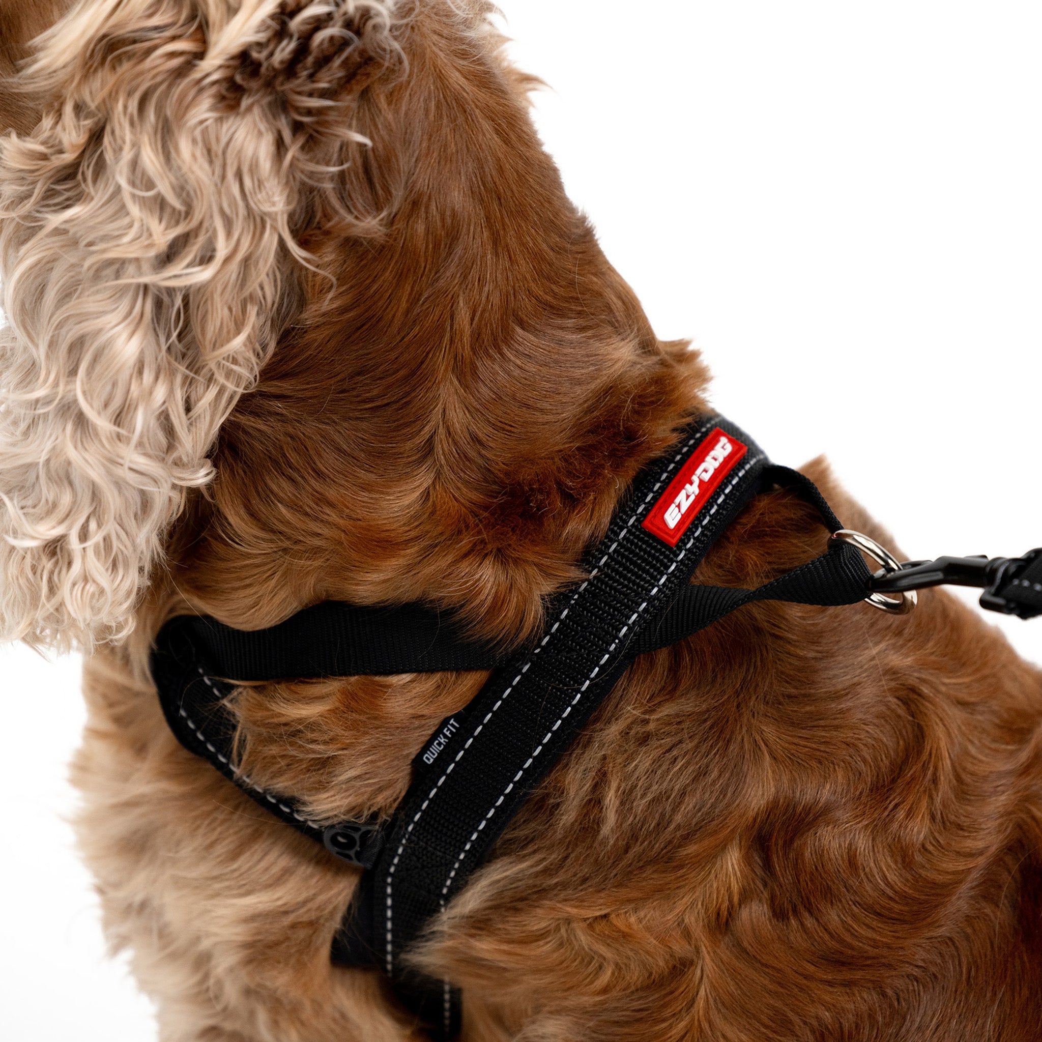 Quick Fit Harness Closeup