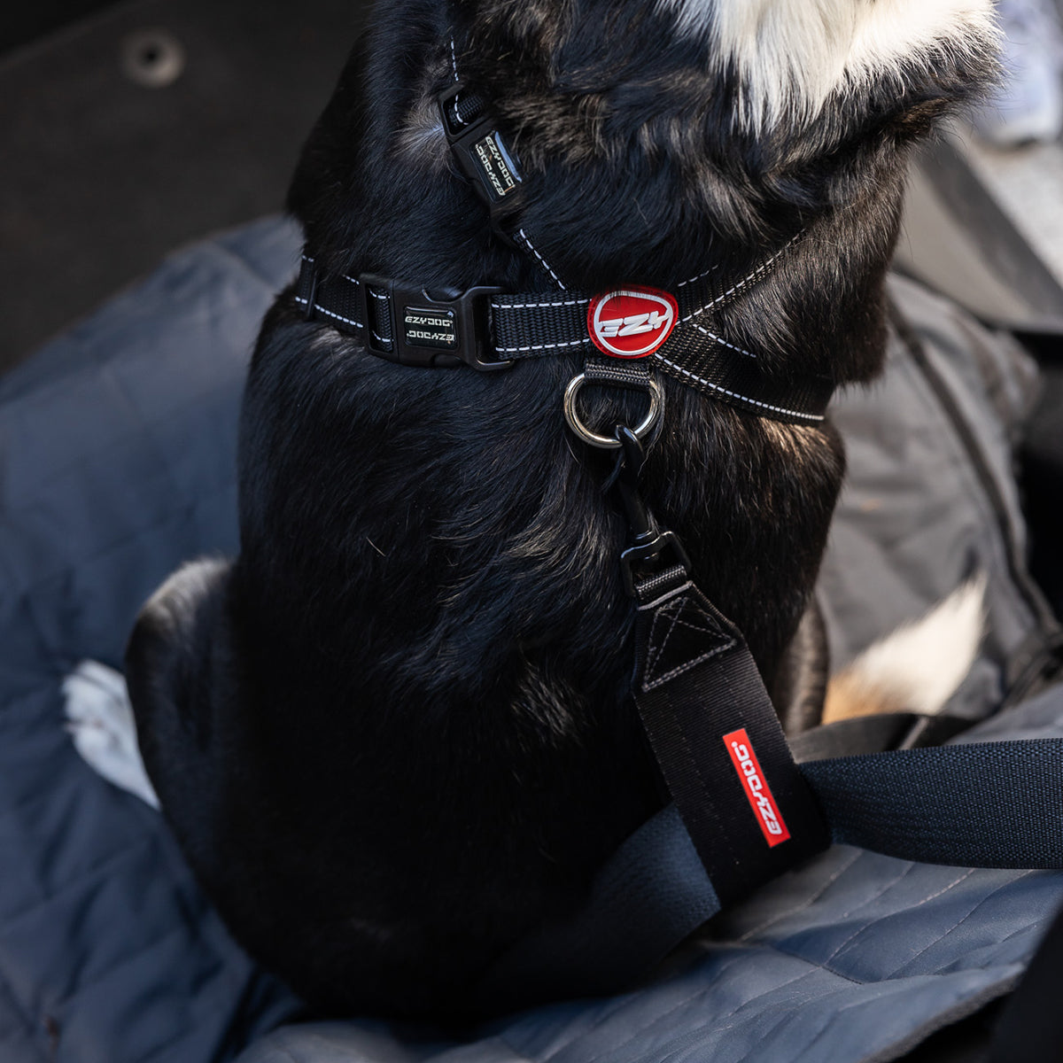 Car Seat Attachment