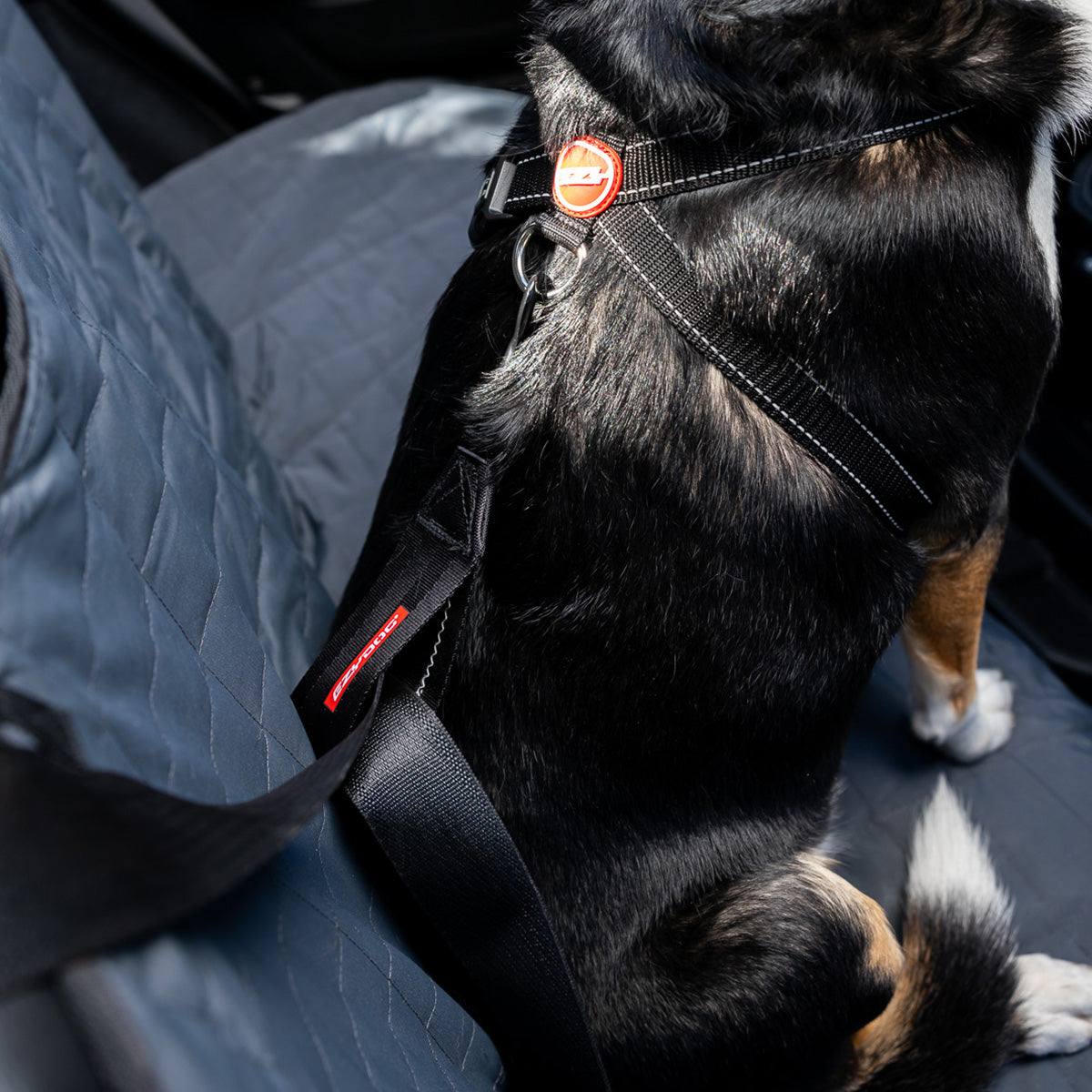 Car Seat Attachment