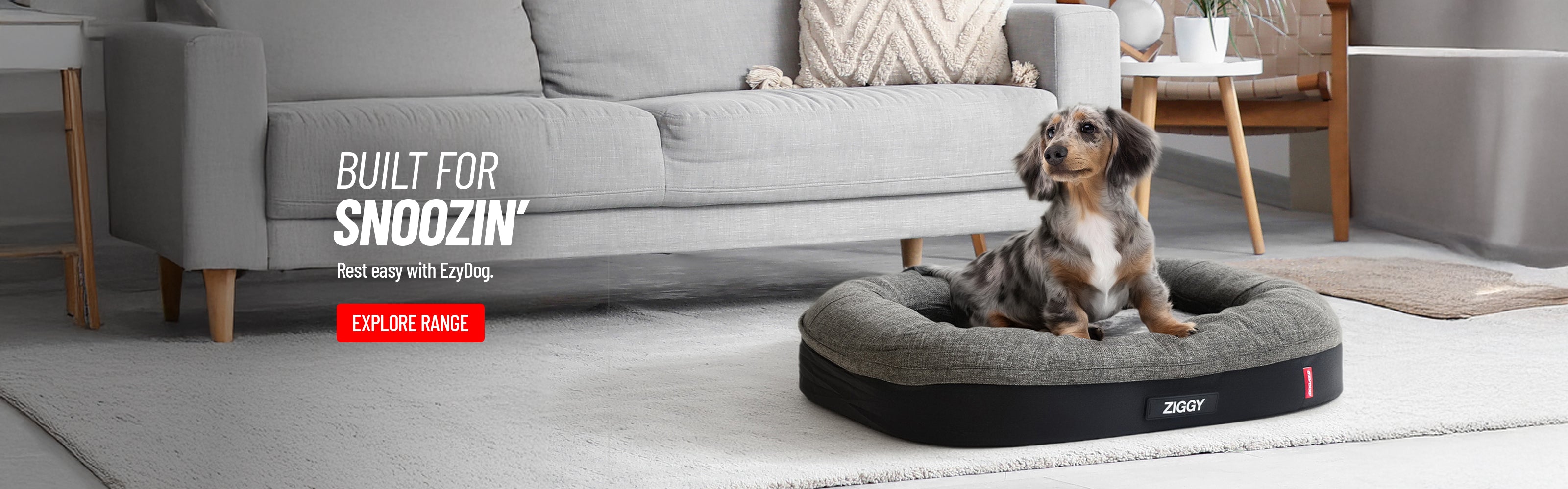 Best dog beds in Australia from EzyDog