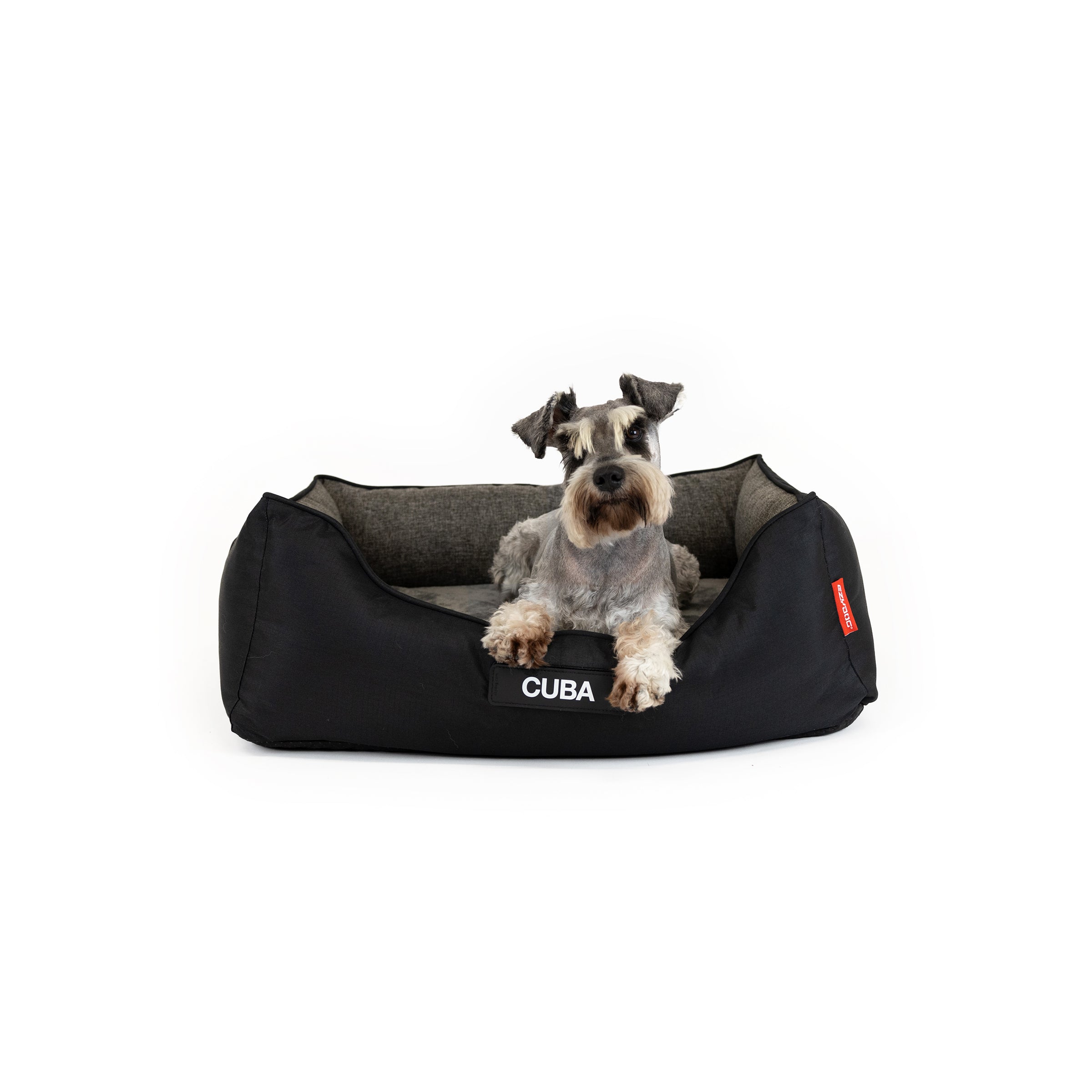 2 in 1 Ortho Smart Dog Bed