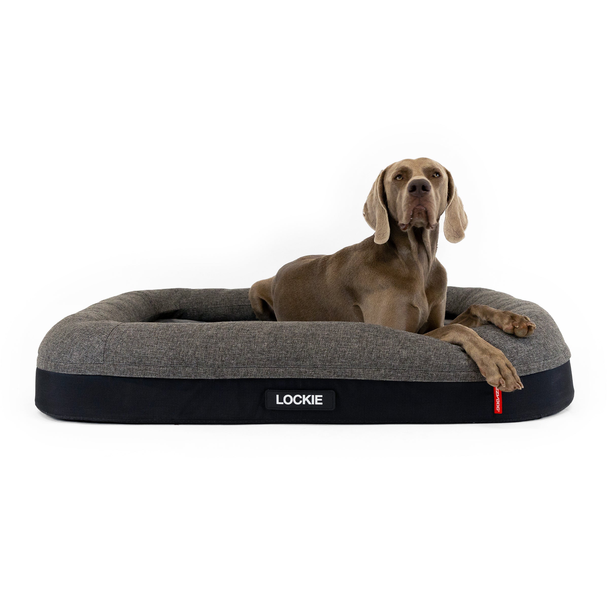 2 in 1 Ortho Calm Elite Dog Bed