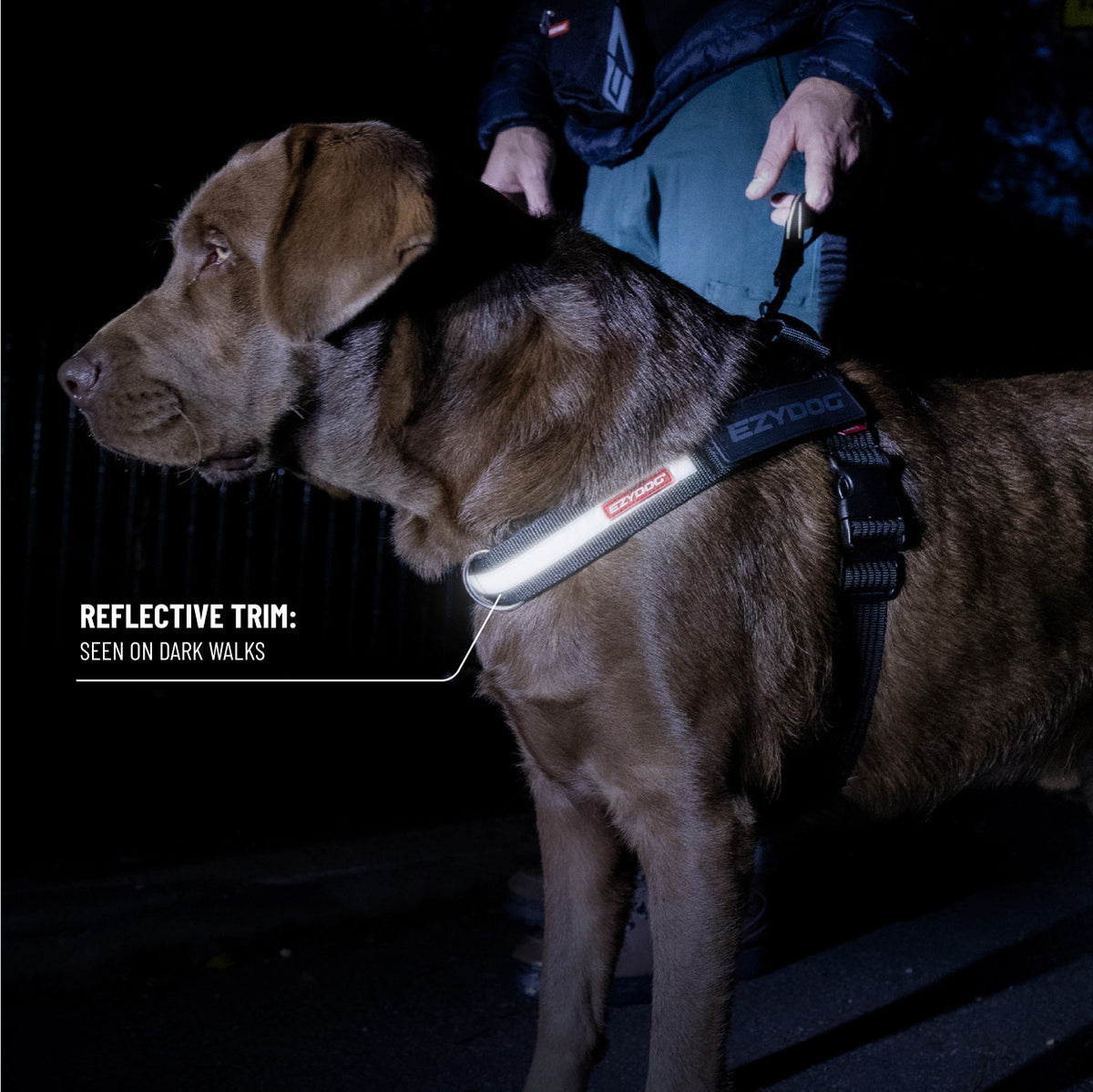 Express Harness