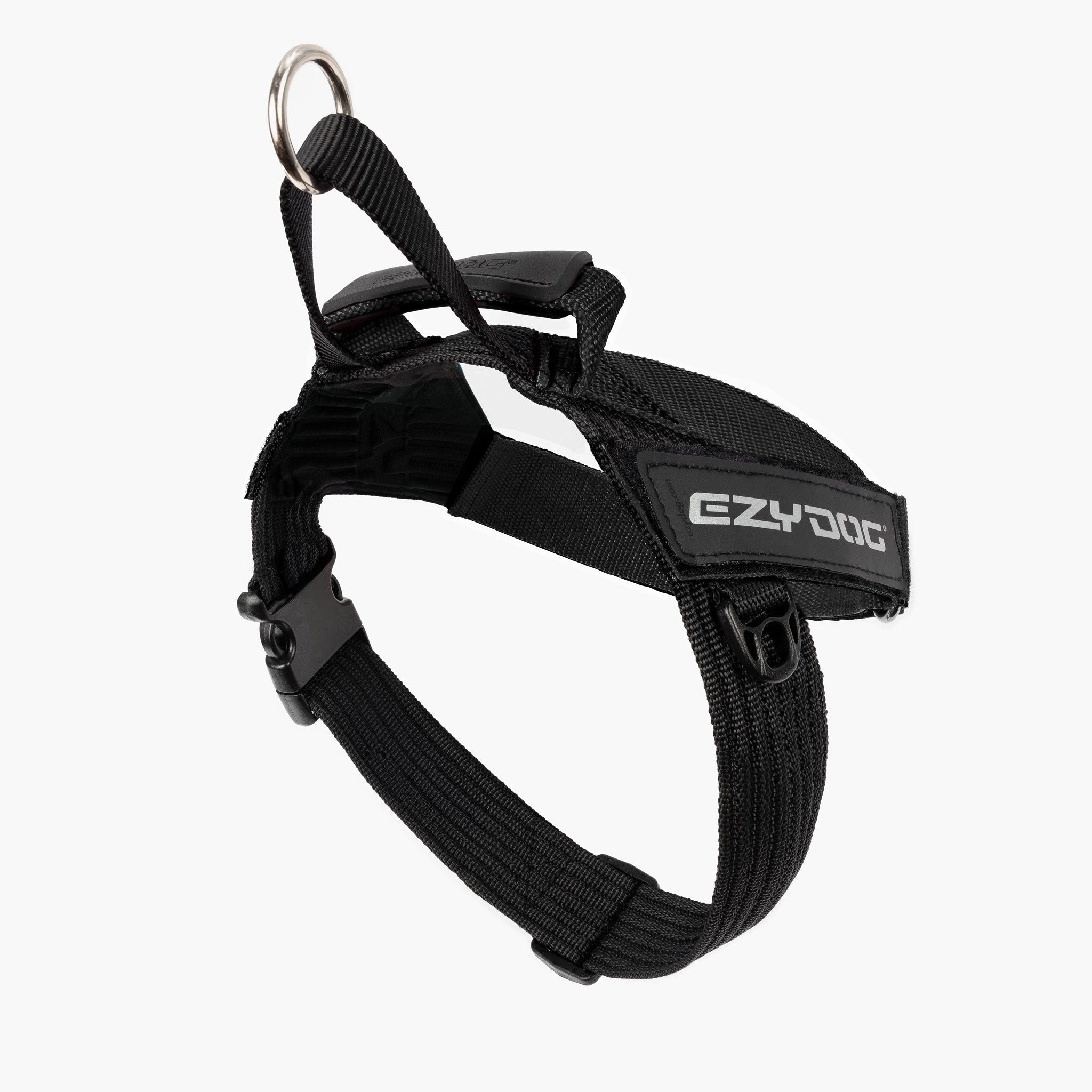 Express Black Back Angle