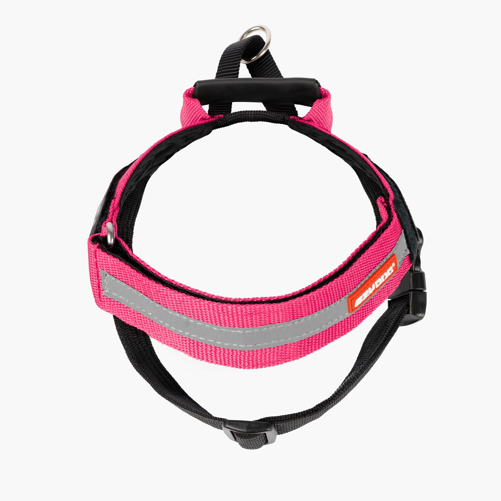 Express Pink Harness Front