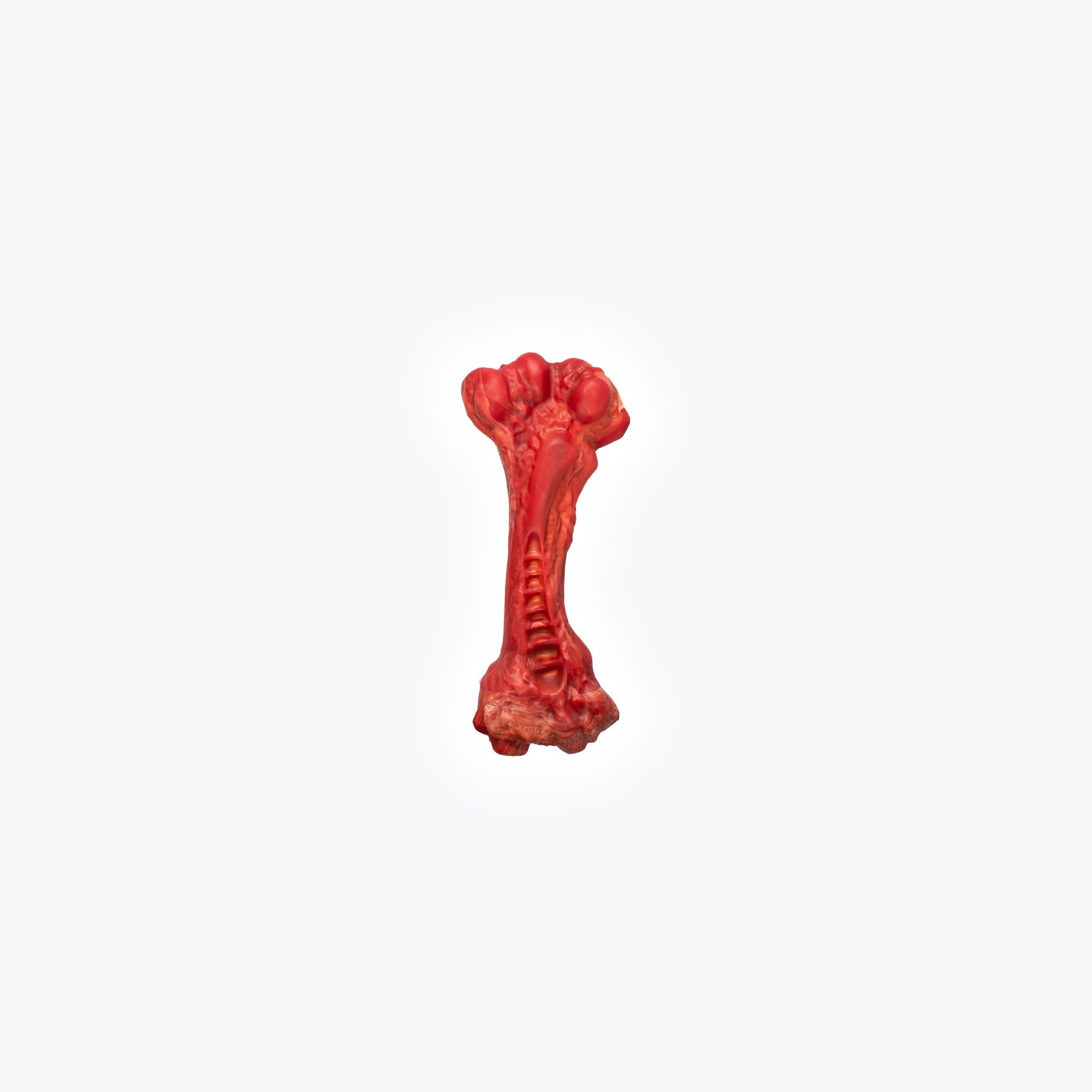 EzyBones Chew Toy