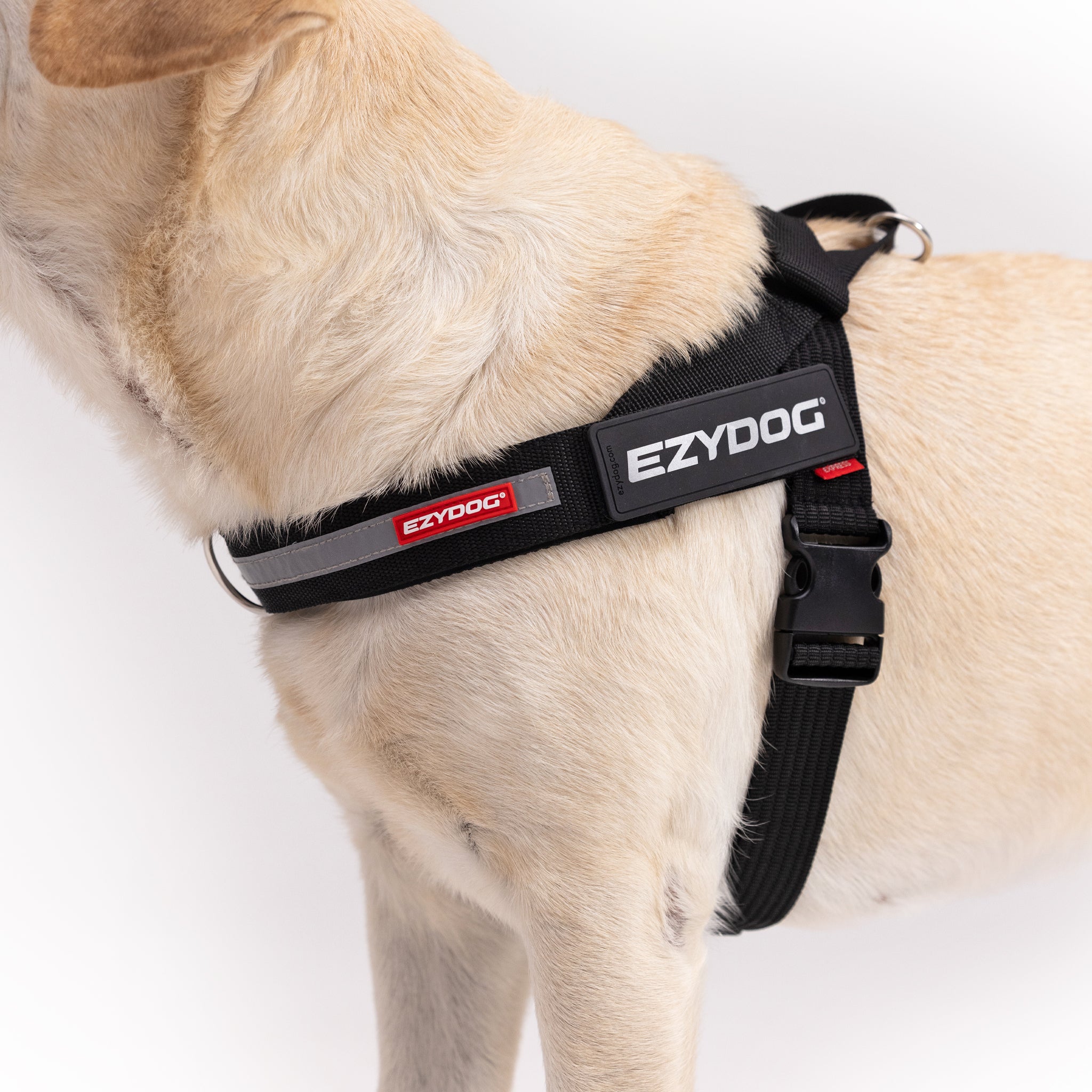 Express Dog Harness - Corduroy