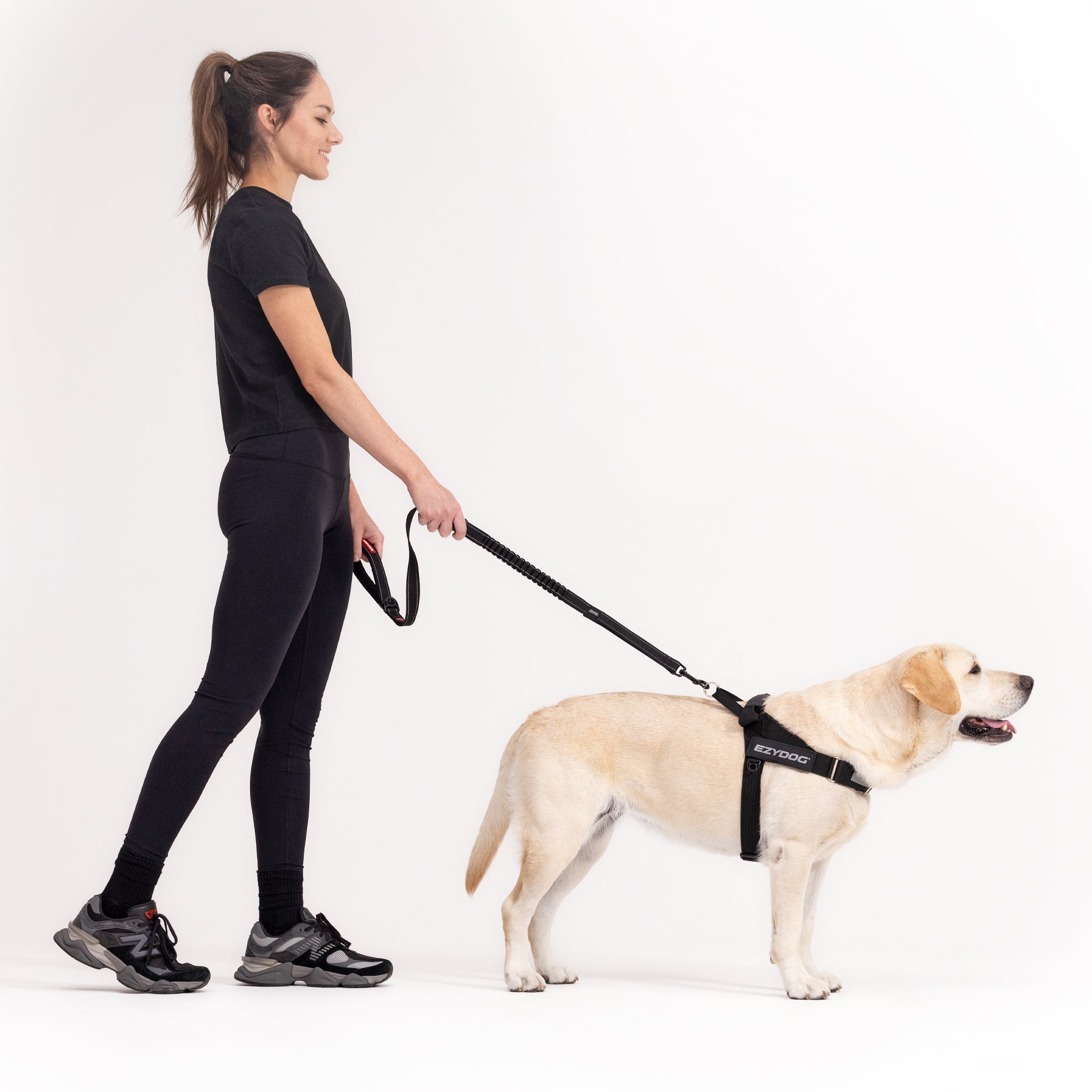 Express Dog Harness - Corduroy