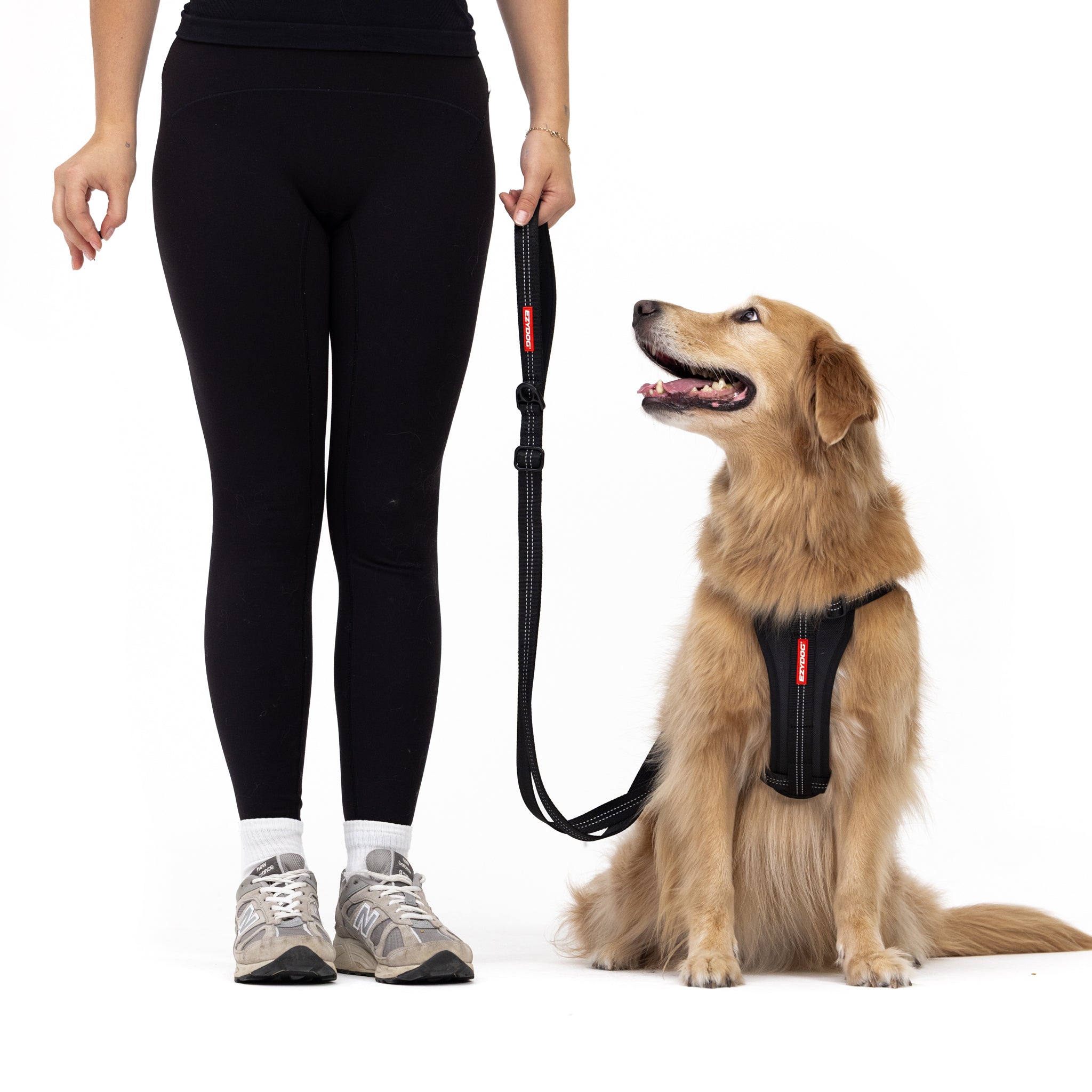 Person wearing black leggings and sneakers holding EzyDog Essential Adjustable Dog Leash with a dog sitting on a white background