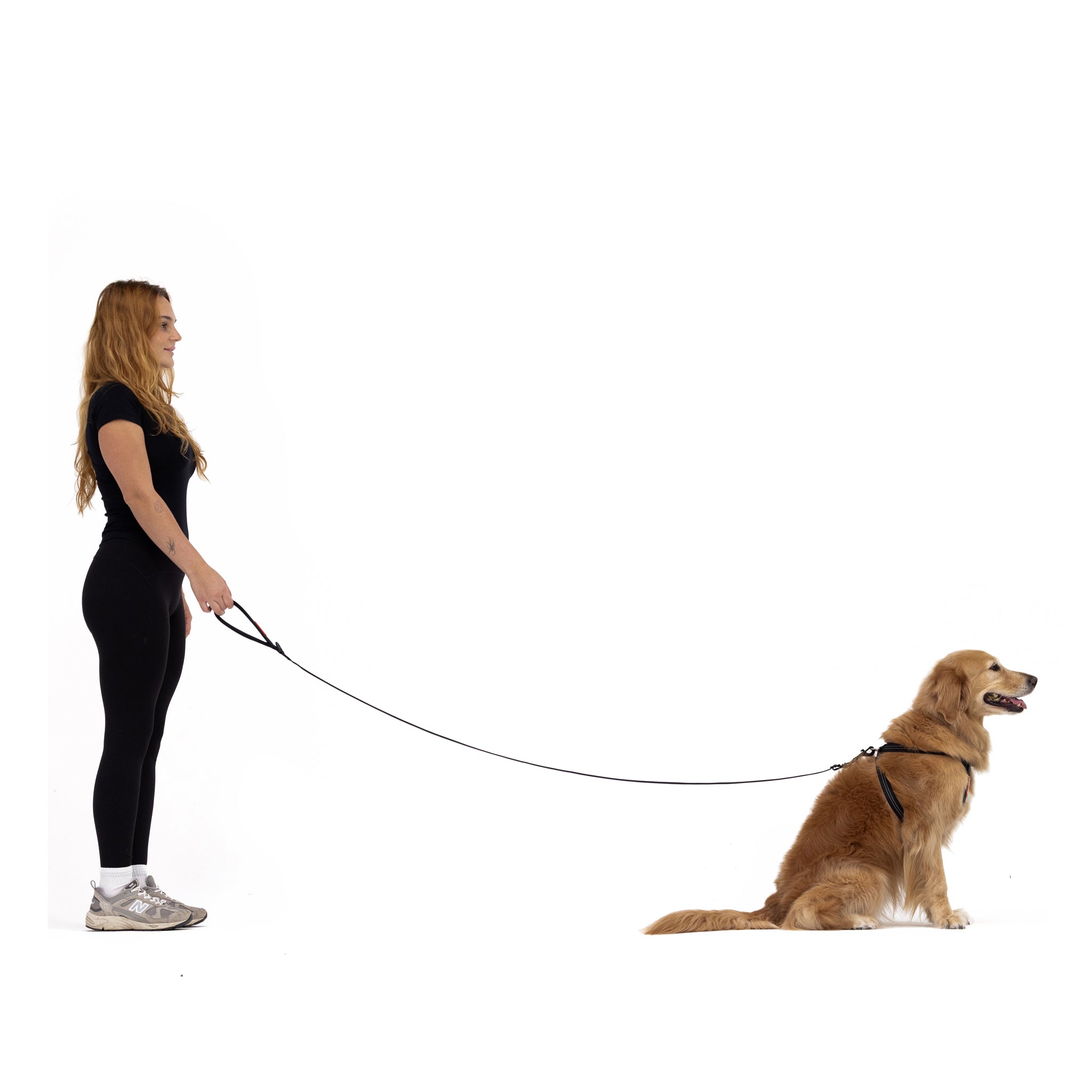 Woman holding EzyDog Essential Adjustable Dog Leash with a dog sitting on a white background