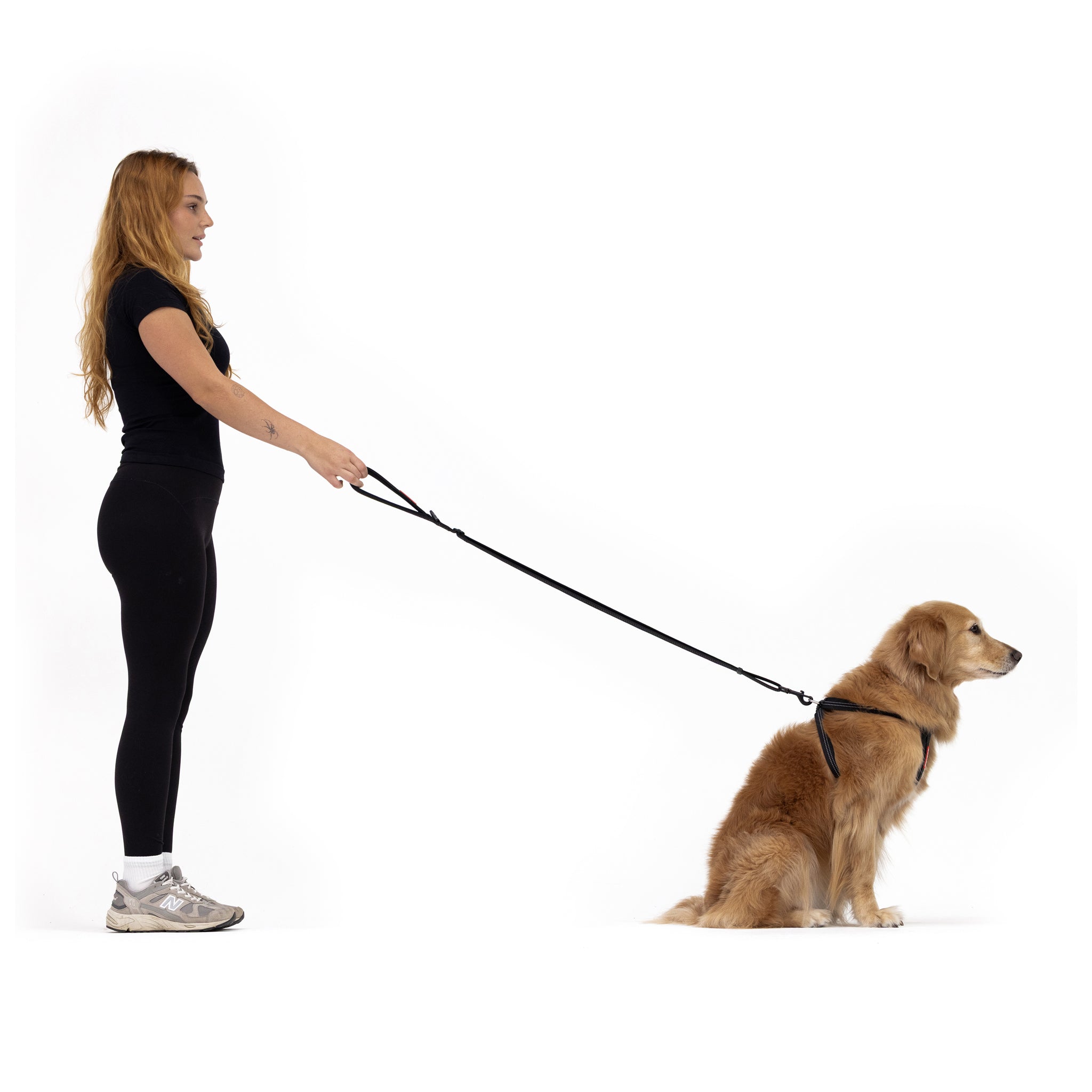 Woman walking a dog on EzyDog Essential Adjustable Dog Leash