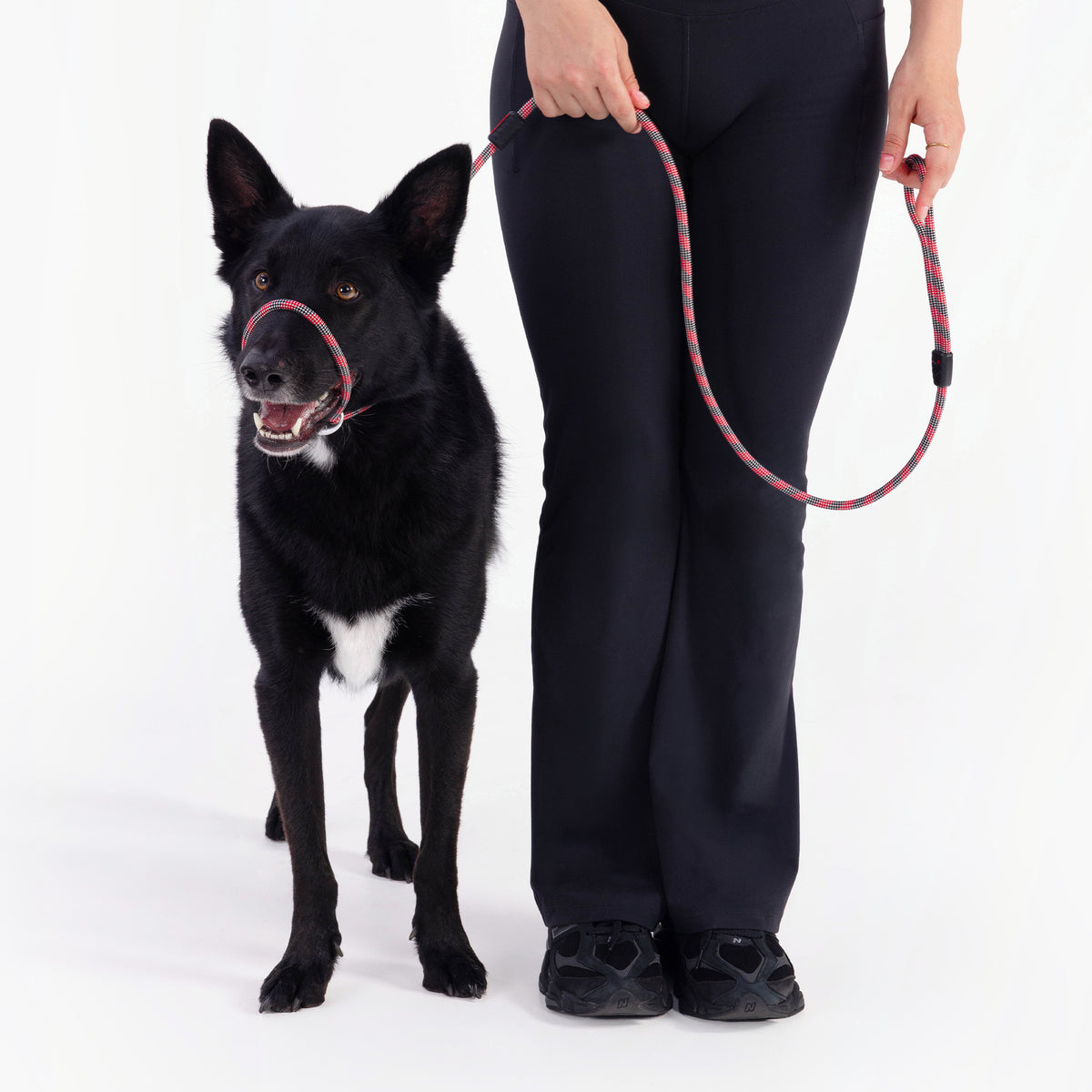 Luca Rope Leash