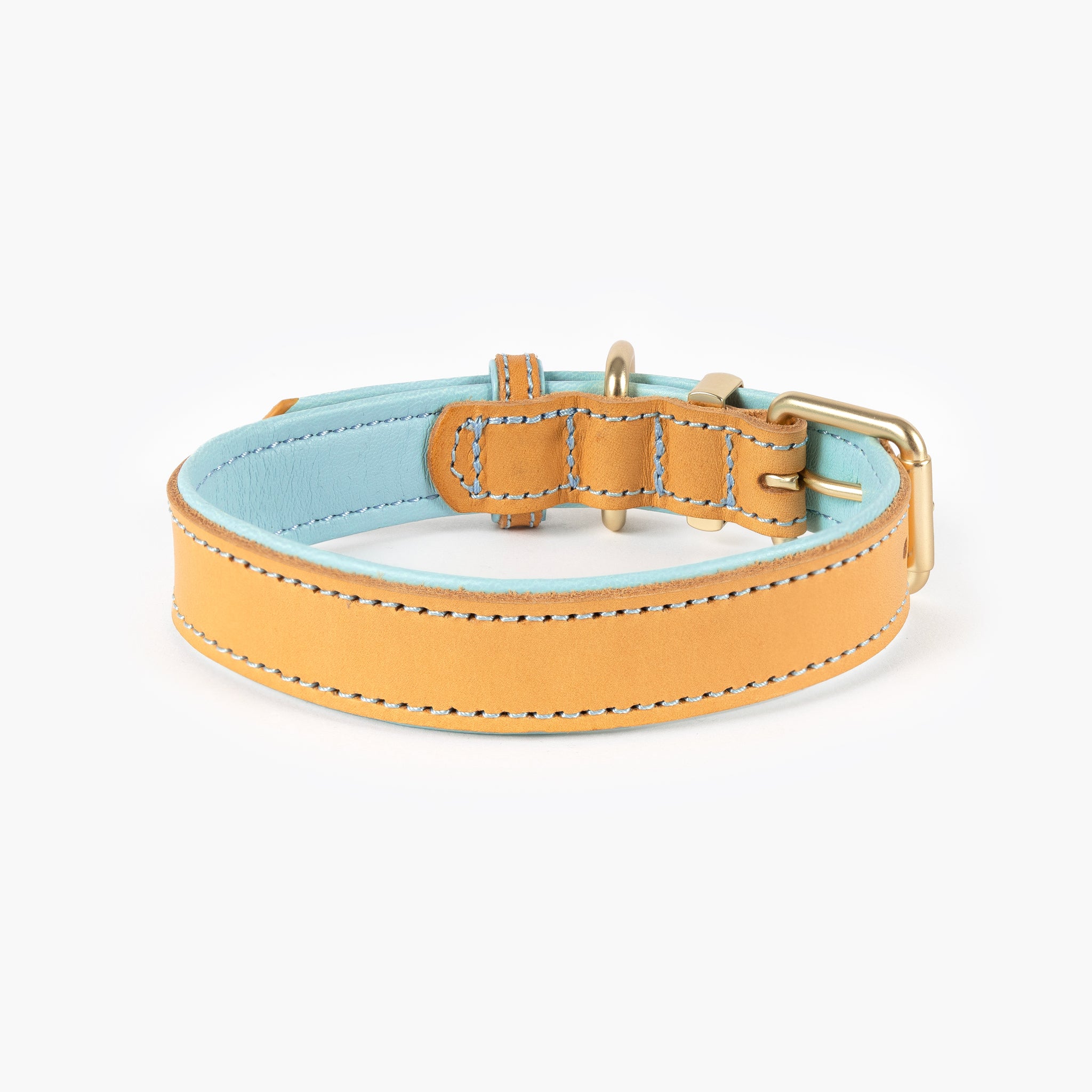 Oxford Leather - Classic Dog Collar