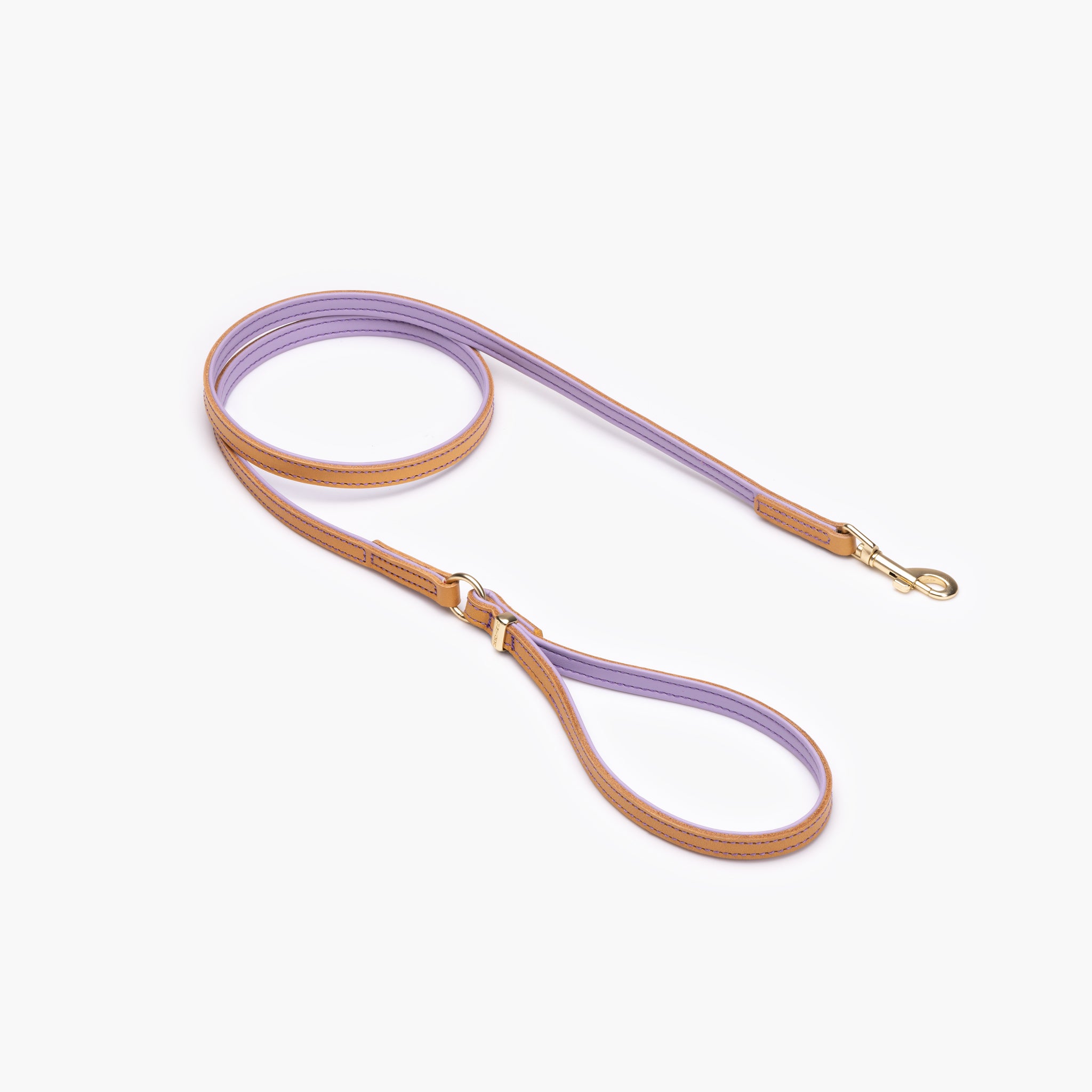 Oxford Leash LITE