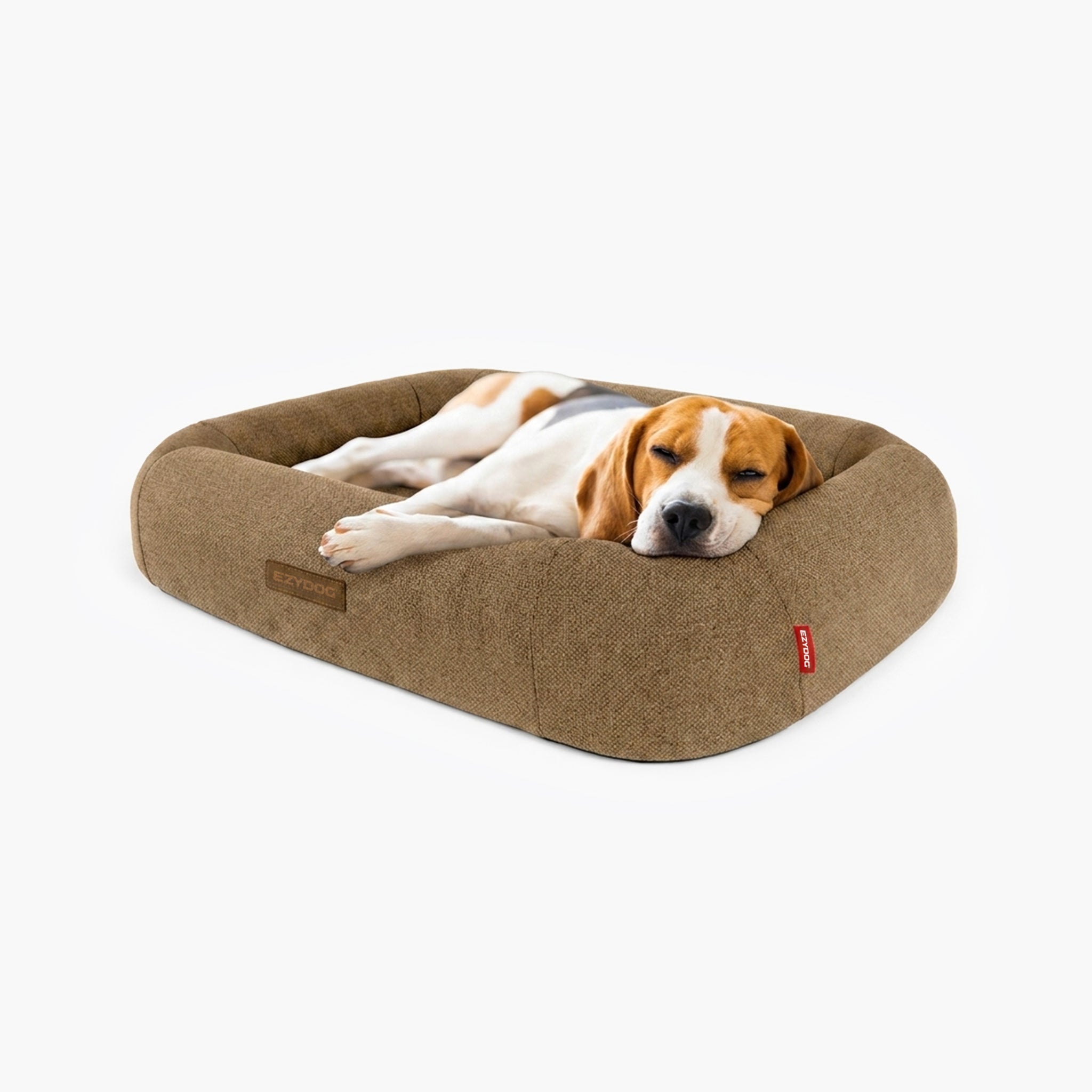 Dog lying on a brown dog bed with a white background