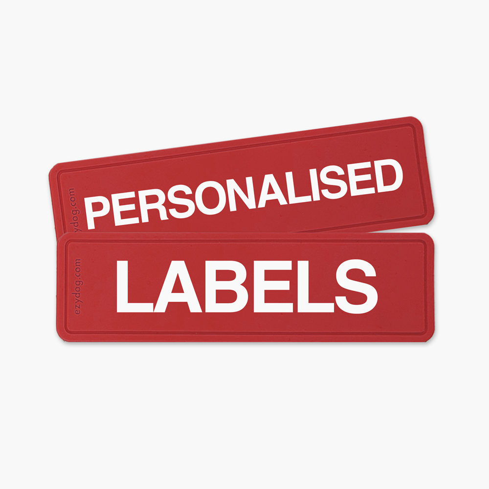 Adventurer Personalisation Pack